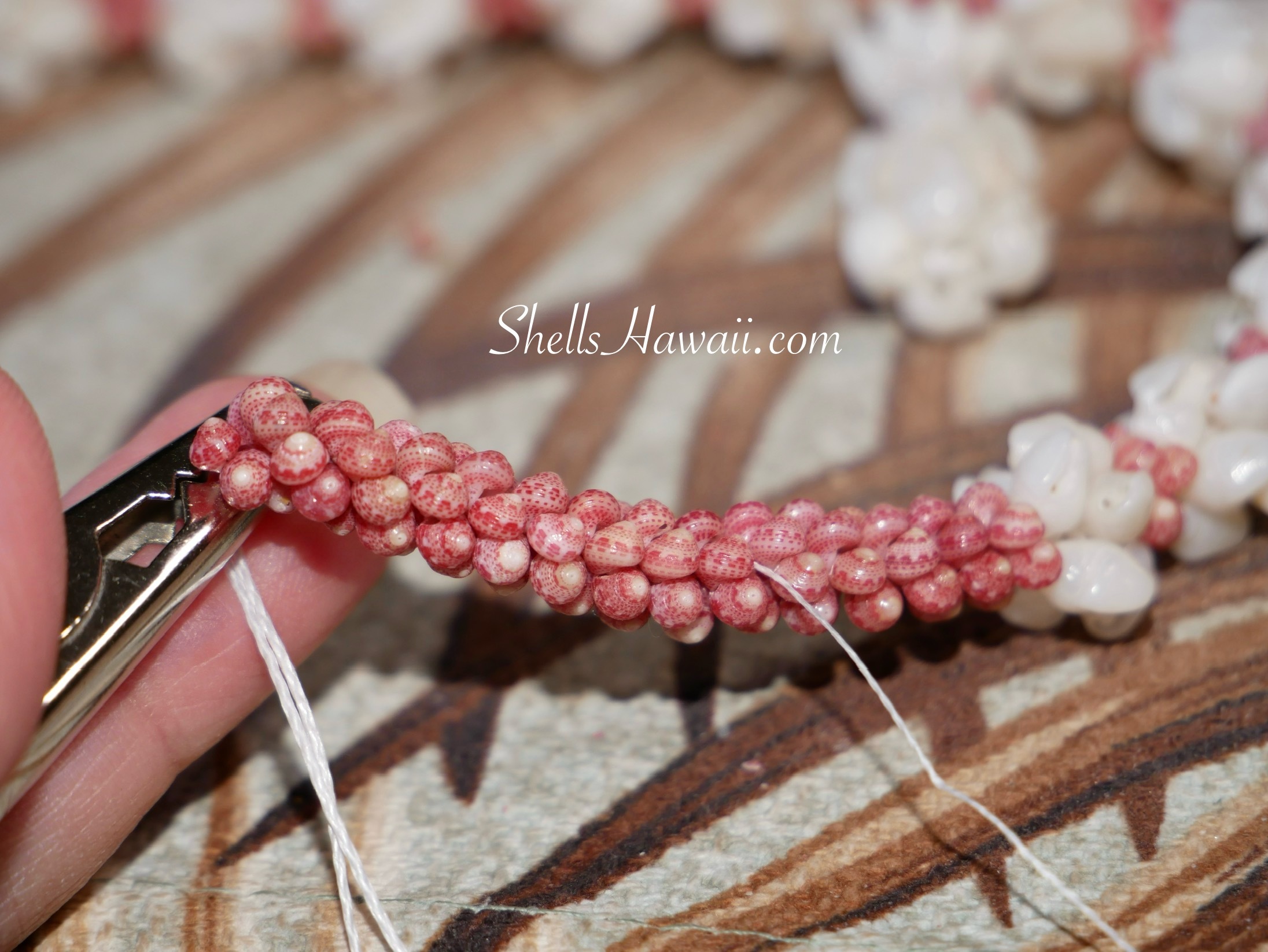 niihau shell necklace, custom order with shellshawaii.com 