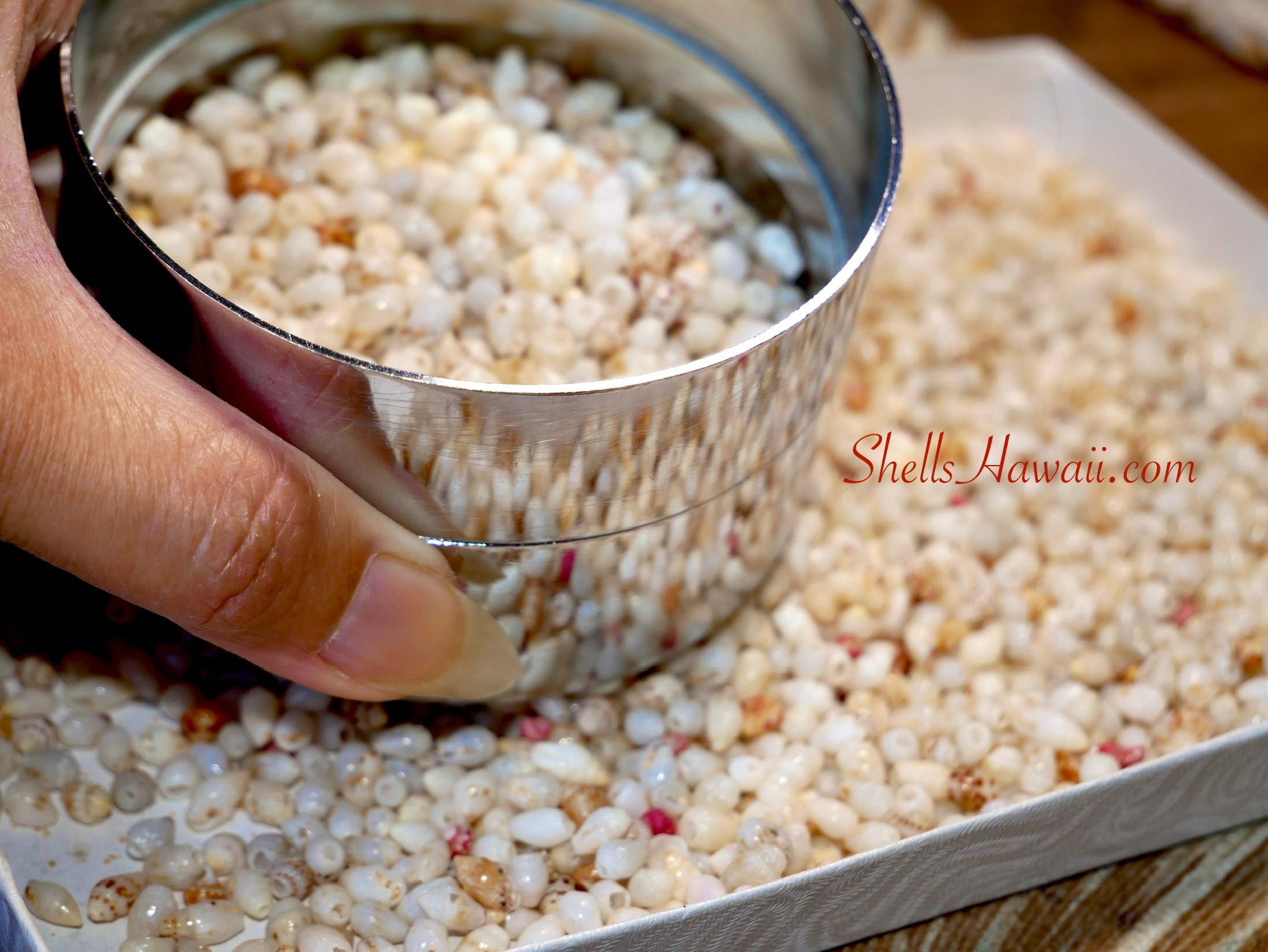 How to sorting niihau shells?