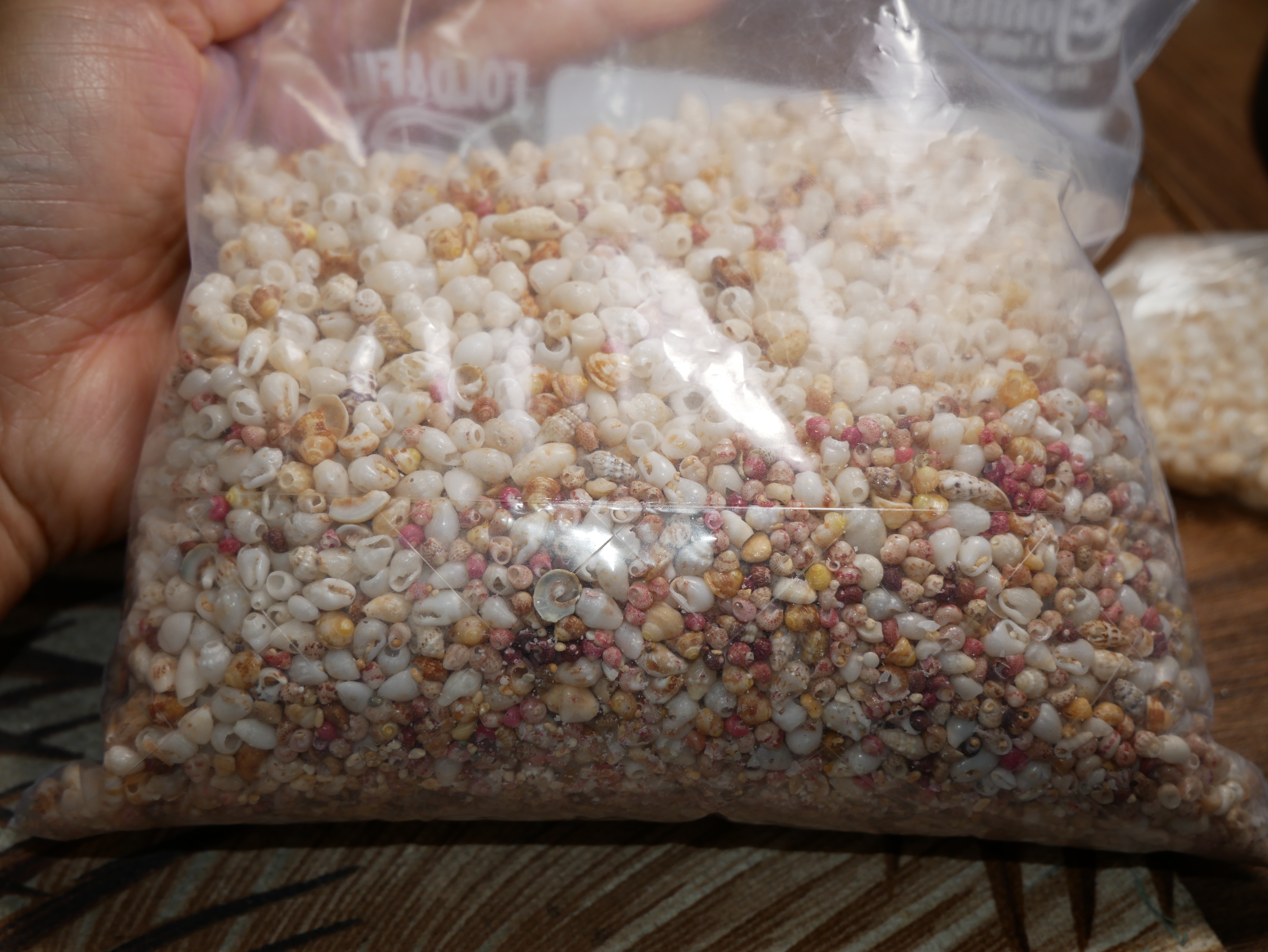 Bag of imperfect Niʻihau shells showing mixed sizes and natural flaws, representing shells set aside and given away in large quantities rather than used for jewelry