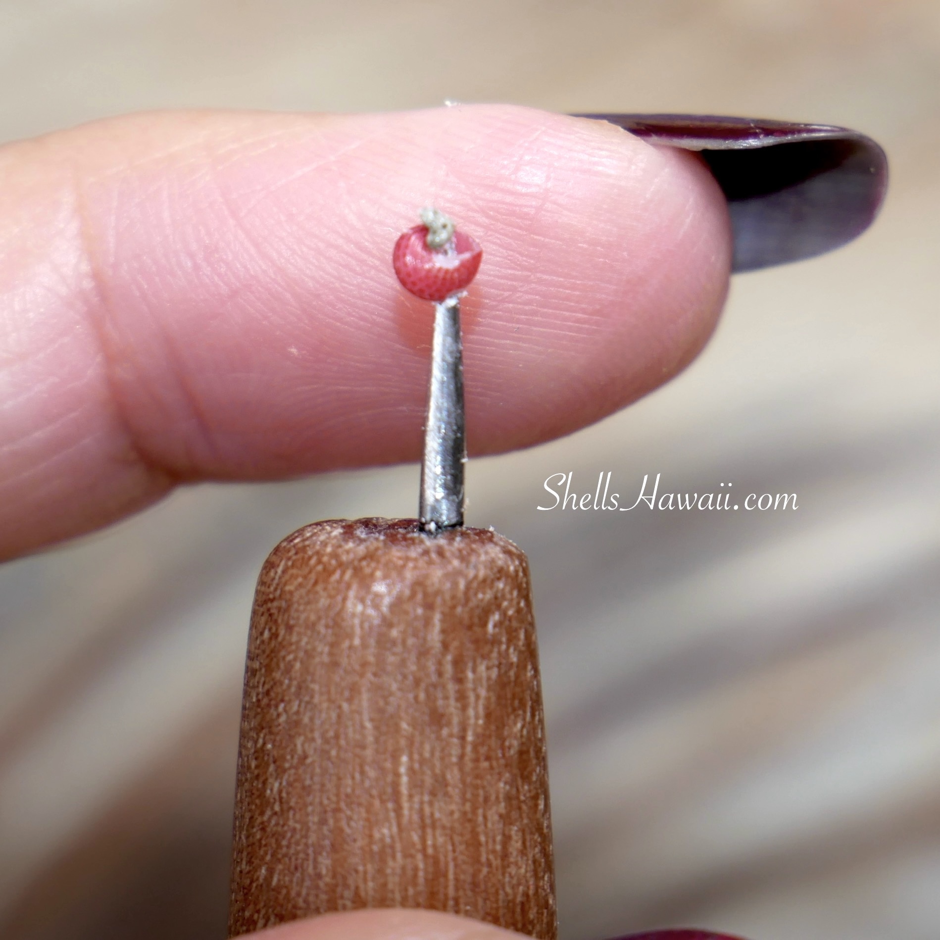 how to poke niihau shells, poking tool for niihau shell jewelry