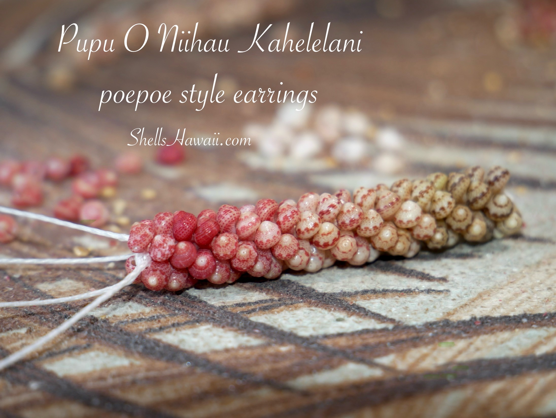 How to create niihau poepoe style shell earrings with Kahelelani shells 