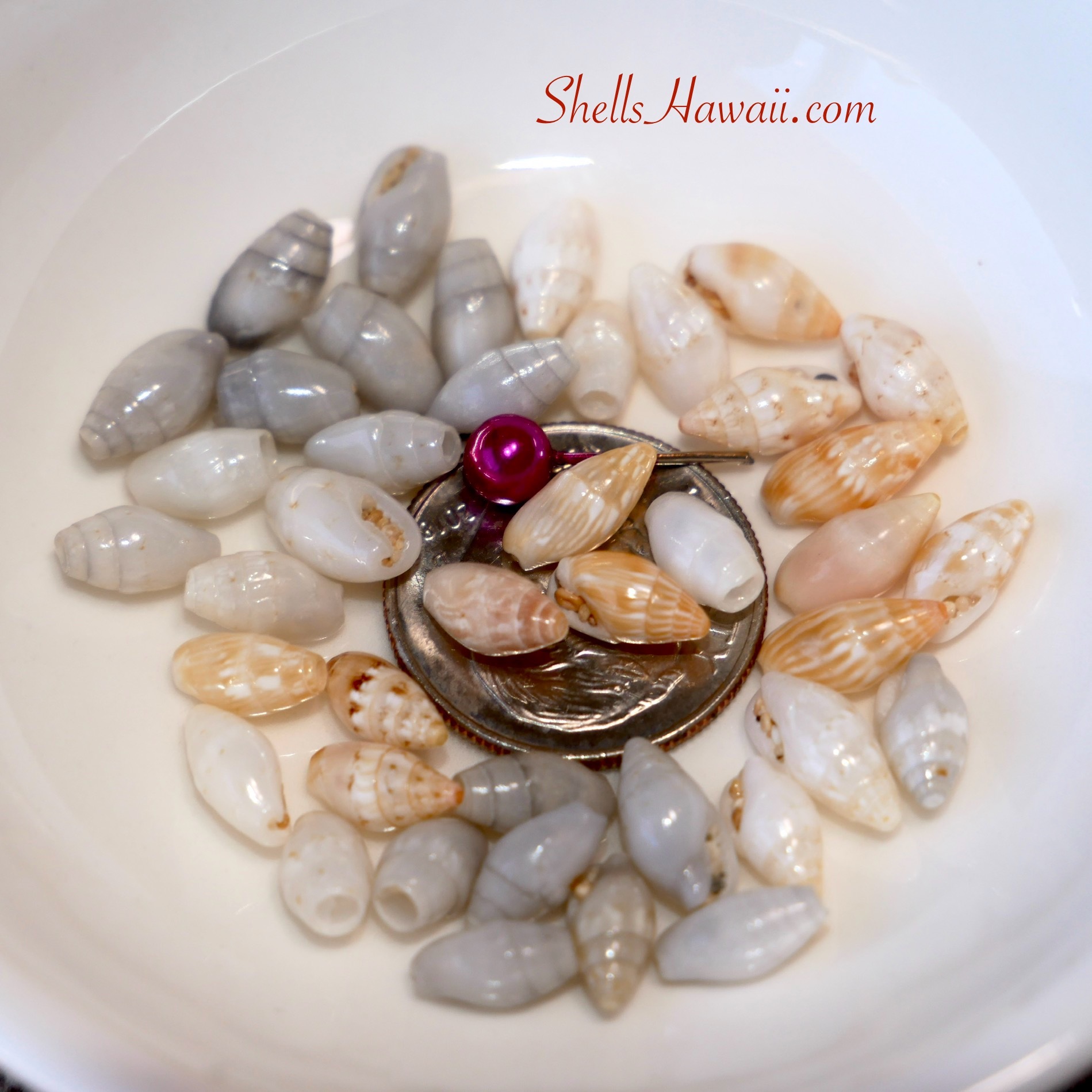 Laiki shells