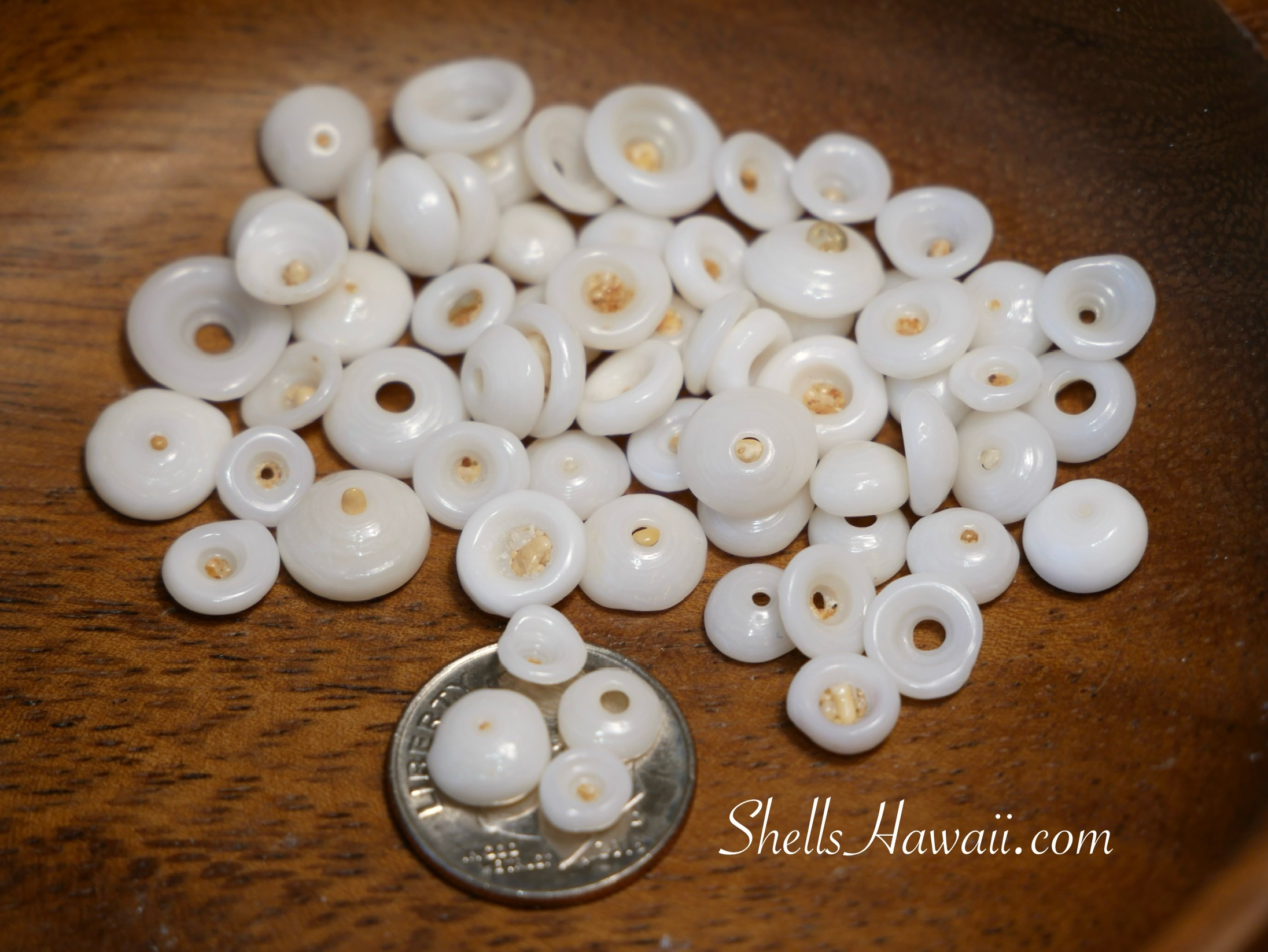 Pear white puka shells