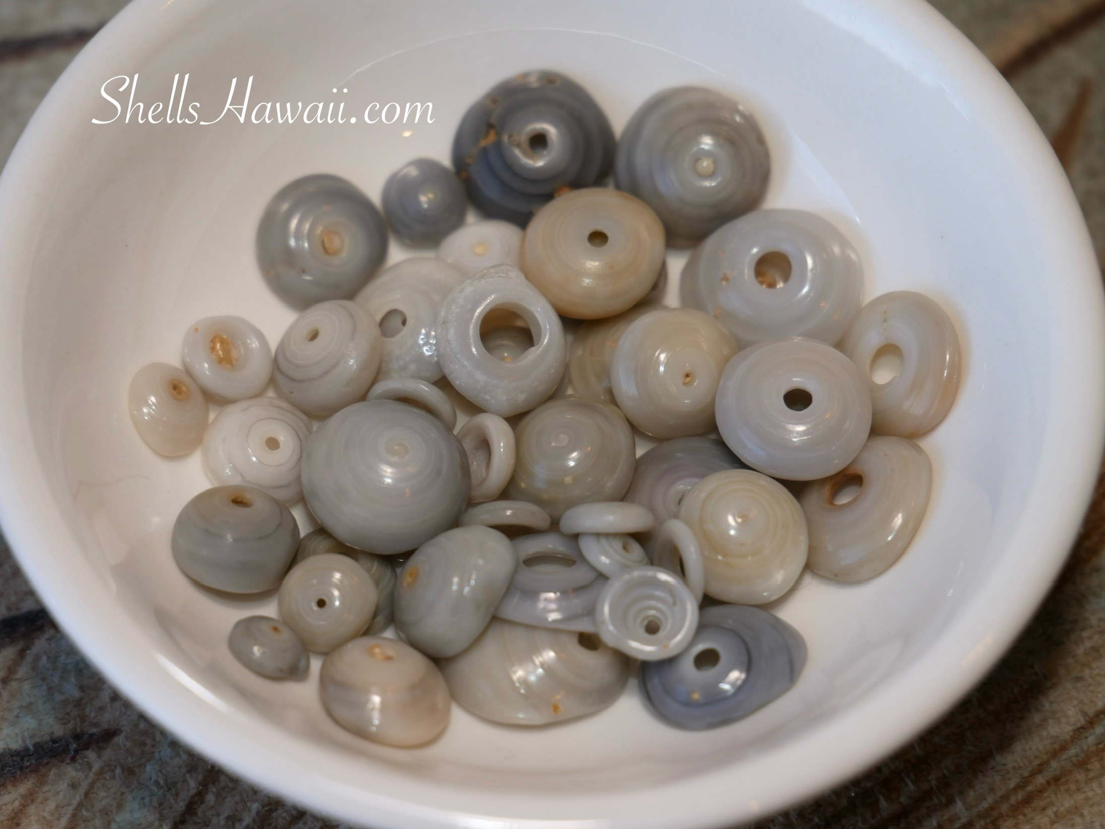 Blue, gray Hawaiian puka shells