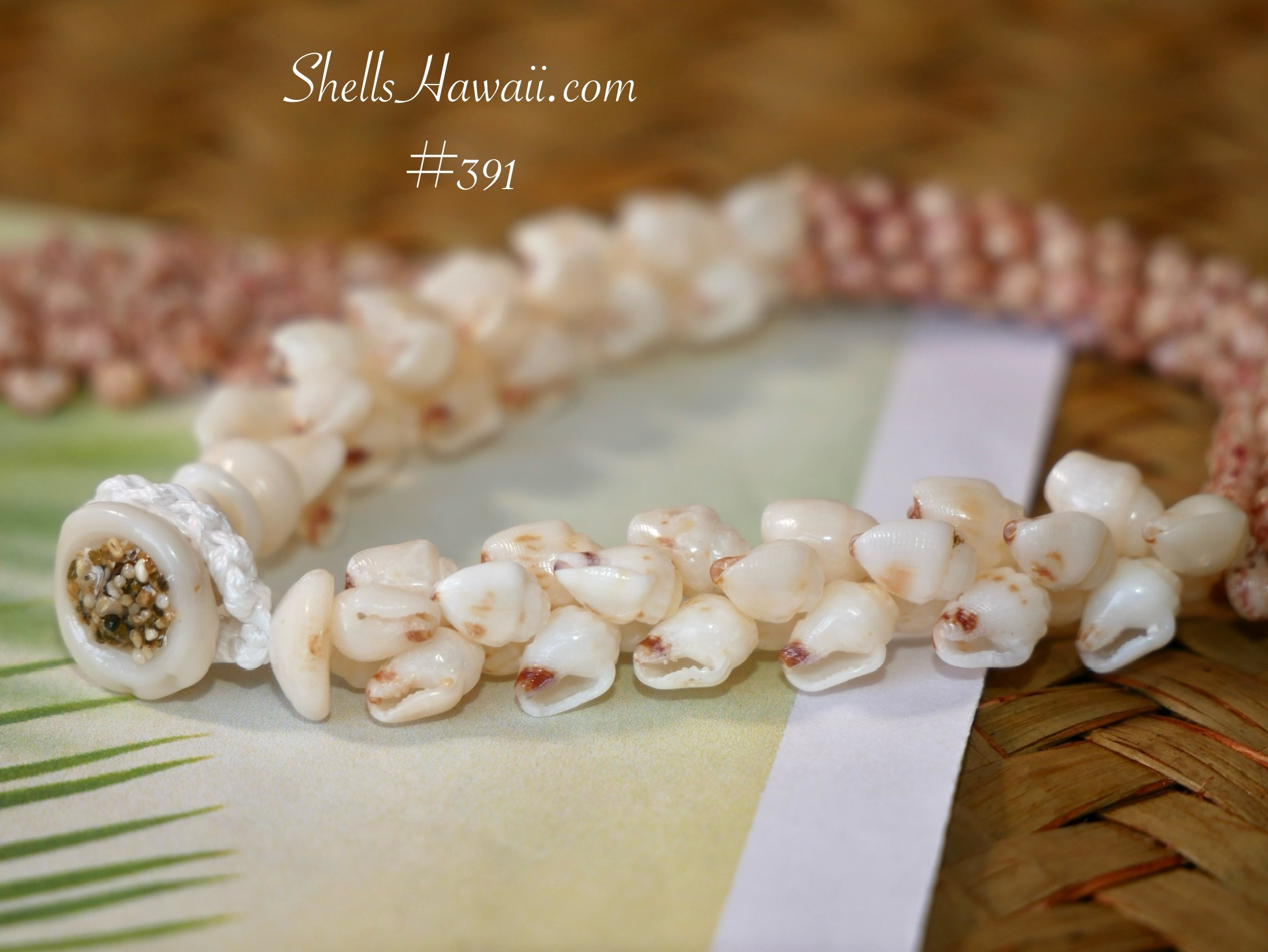 Niʻihau shell bracelet puka clasp close-up showing shell button and loop closure, demonstrating how the bracelet is measured end to end including the clasp for accurate sizing reference