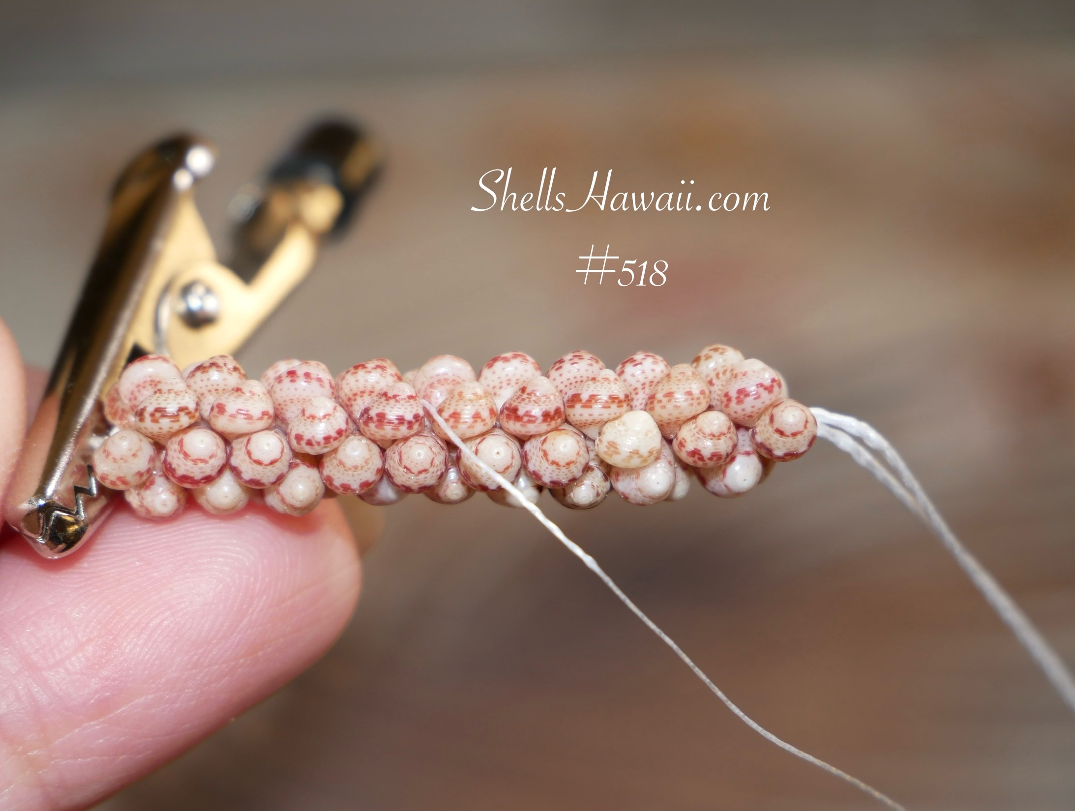 two strand poepoe style with kahelelani shells 