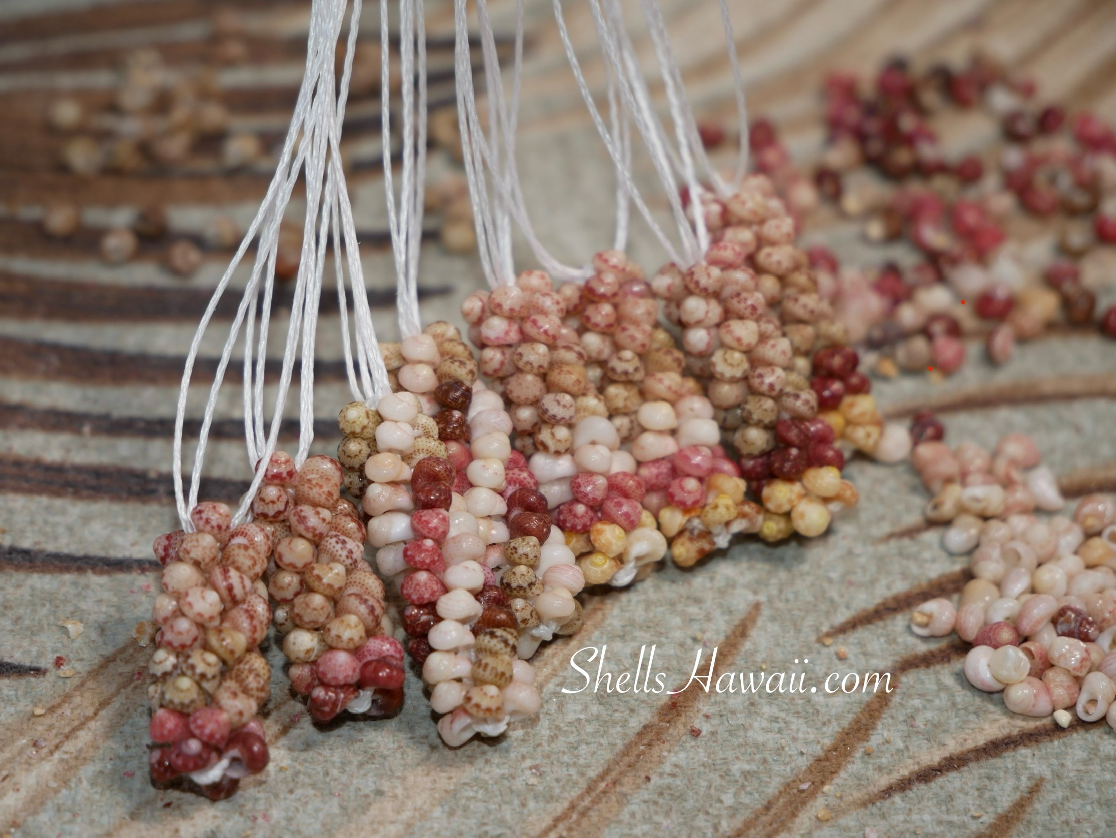 kahelelni shell earrings, poepoe niihau shell earrings