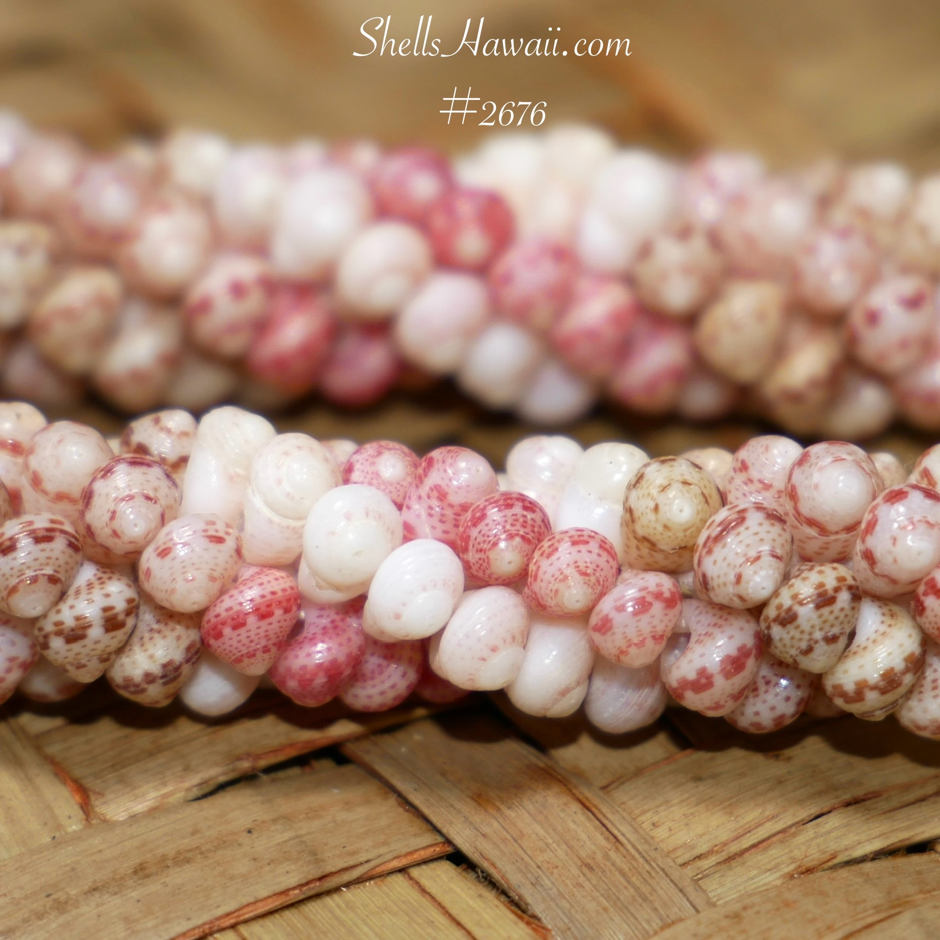 Example of kamoa kahelelani use in poepoe style earrings 