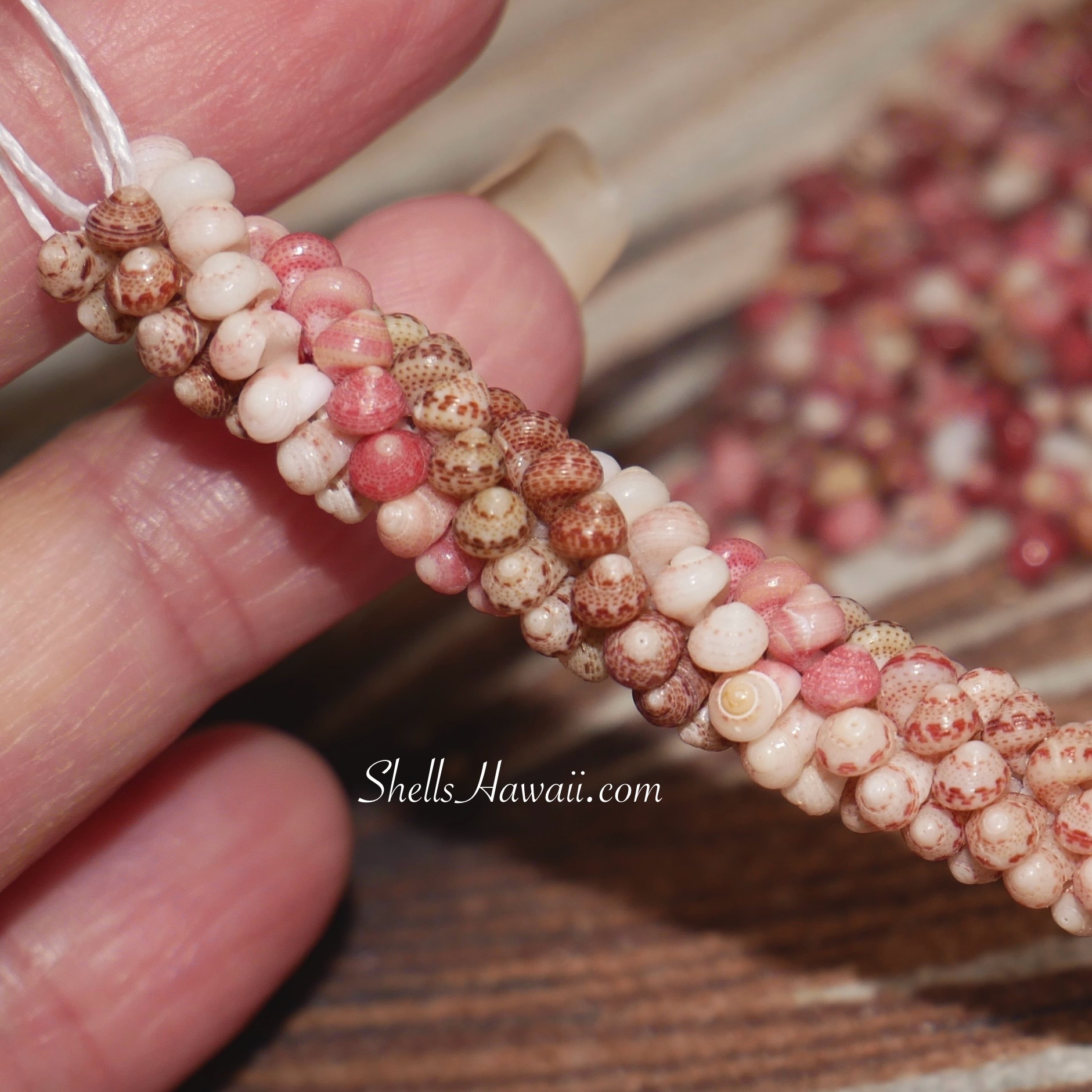 Niihau kahelelani poepoe shell necklace