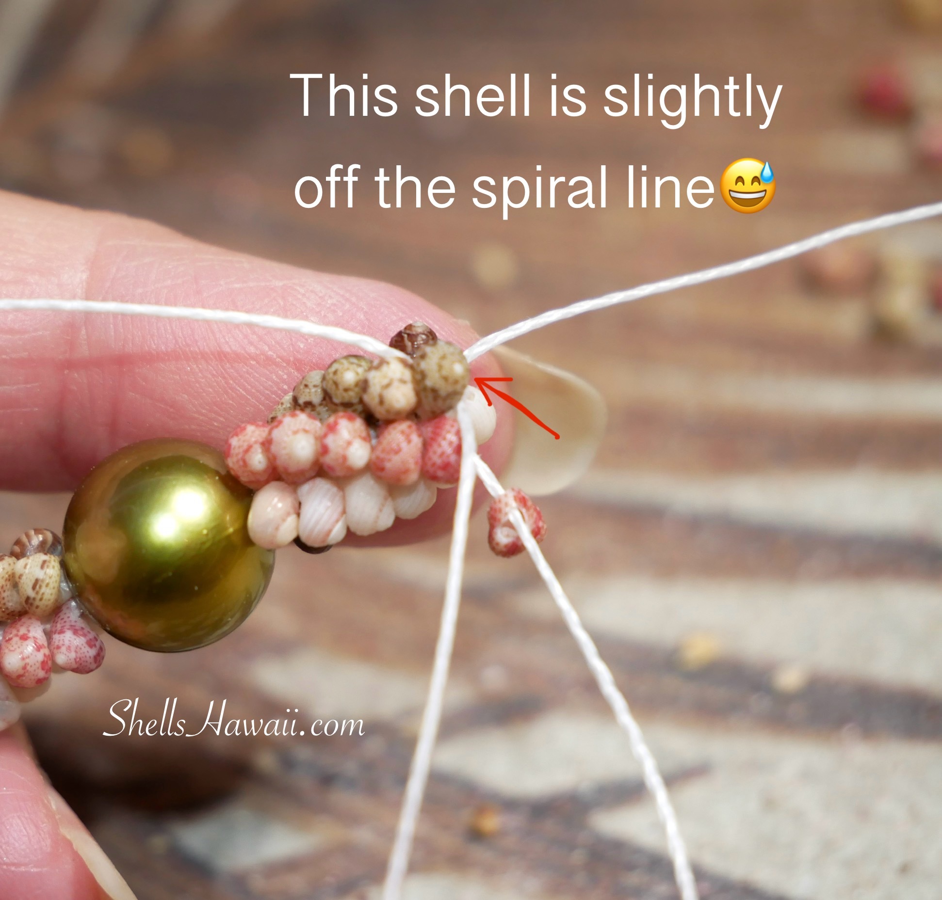 How to make niihau poepoe style shell necklace
