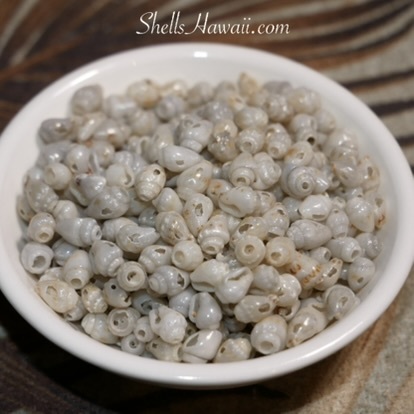 blue, gray momi uliuli 