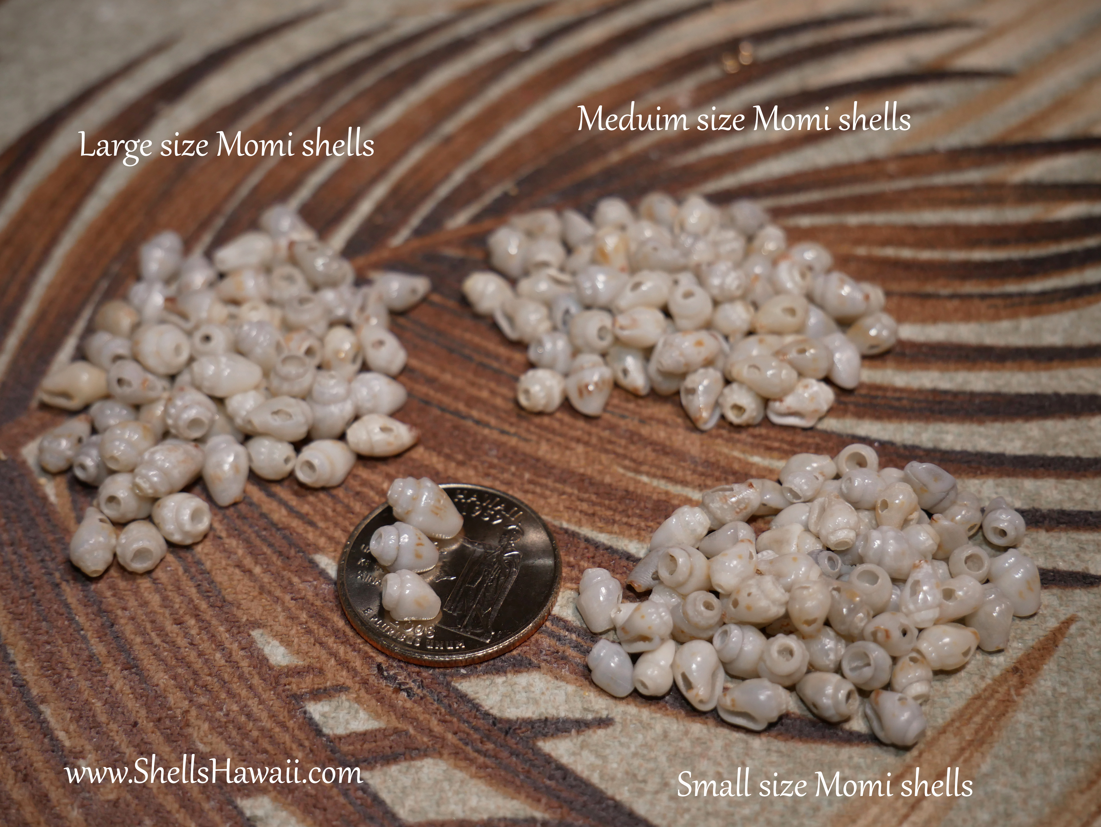 how to sorting size of momi shells 
