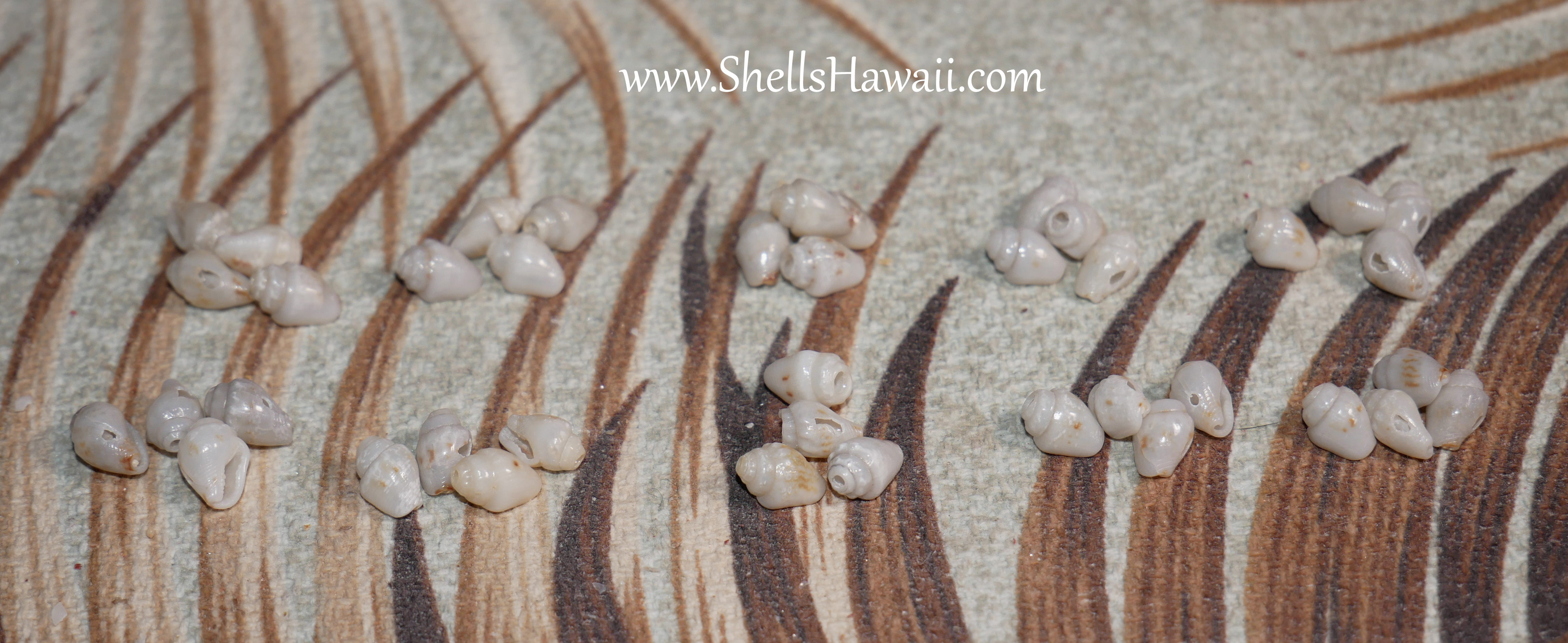 how to pairing the size of momi shells