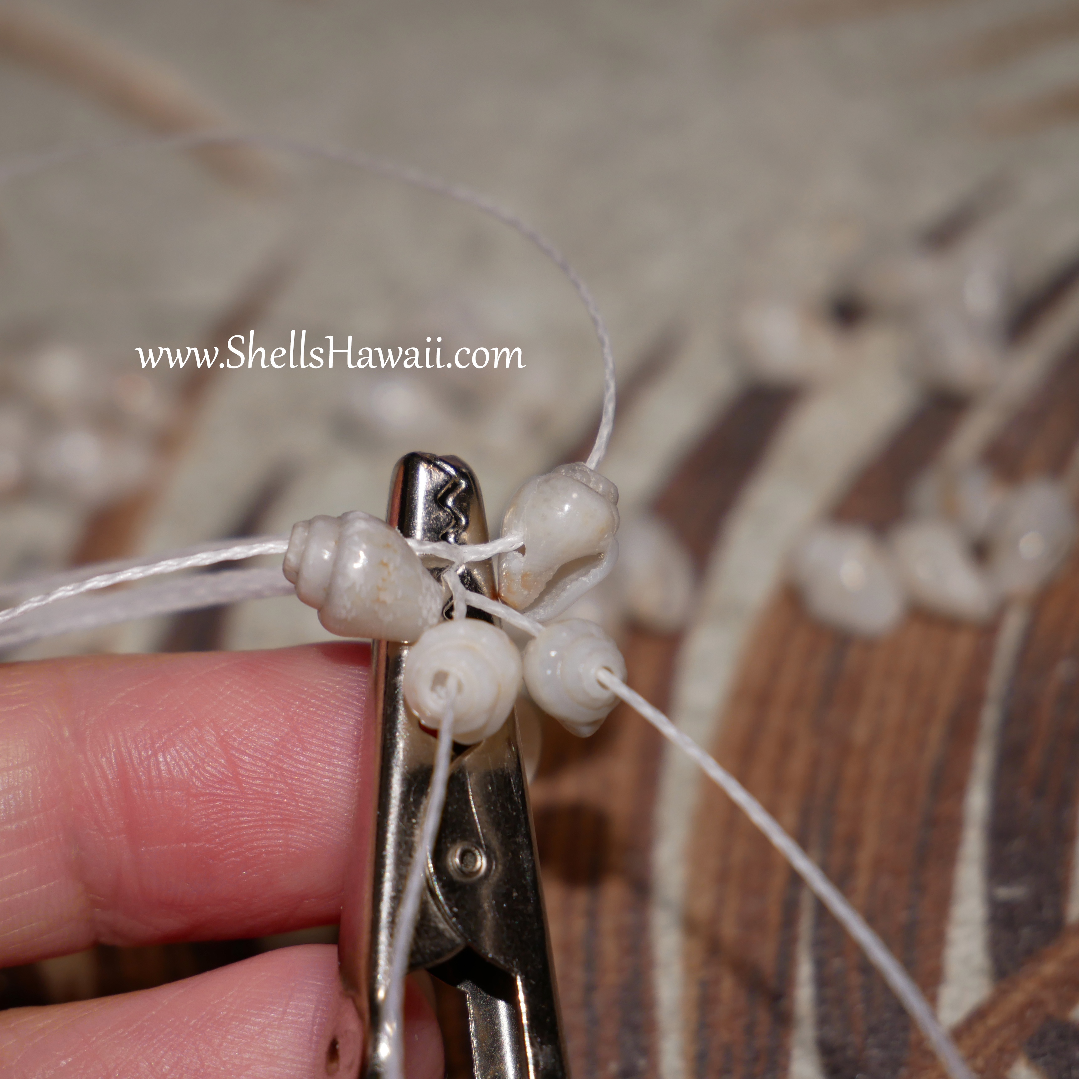 double-double pikake style with momi shells