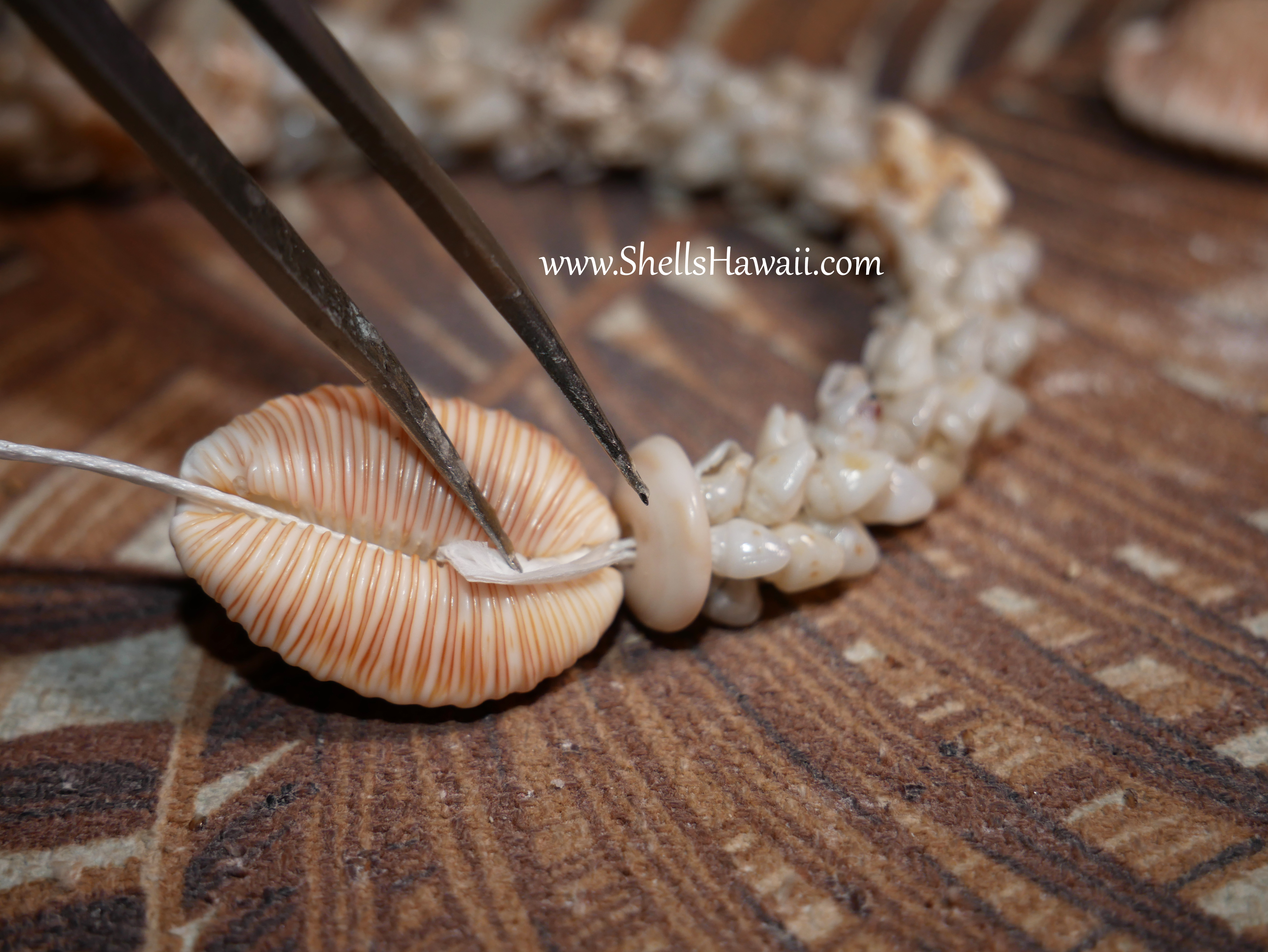how to add clasp to niihau shell necklace 