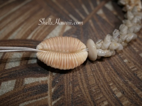 how to add clasp to niihau shell necklace 