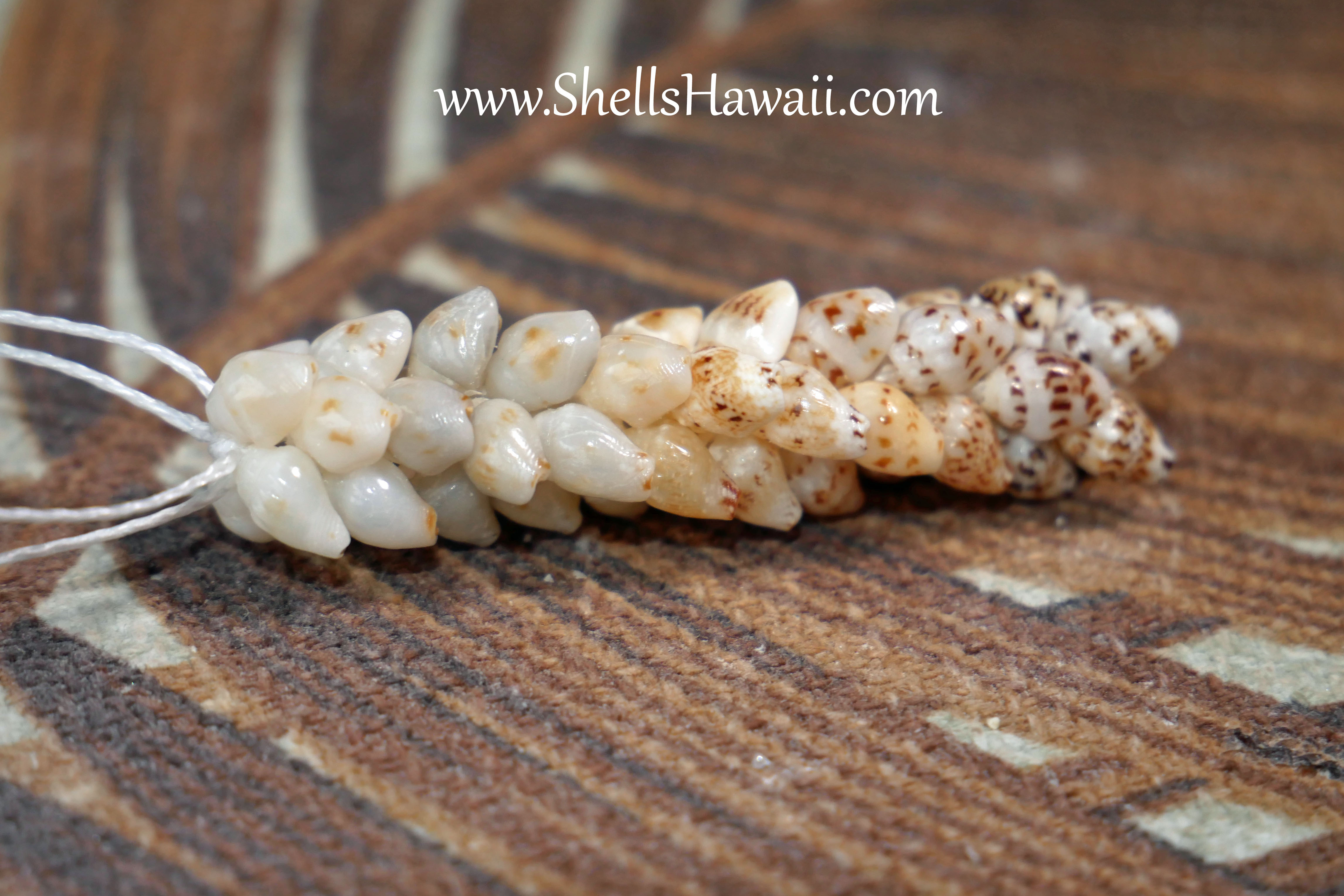 how to make pikake style earrings with momi shells