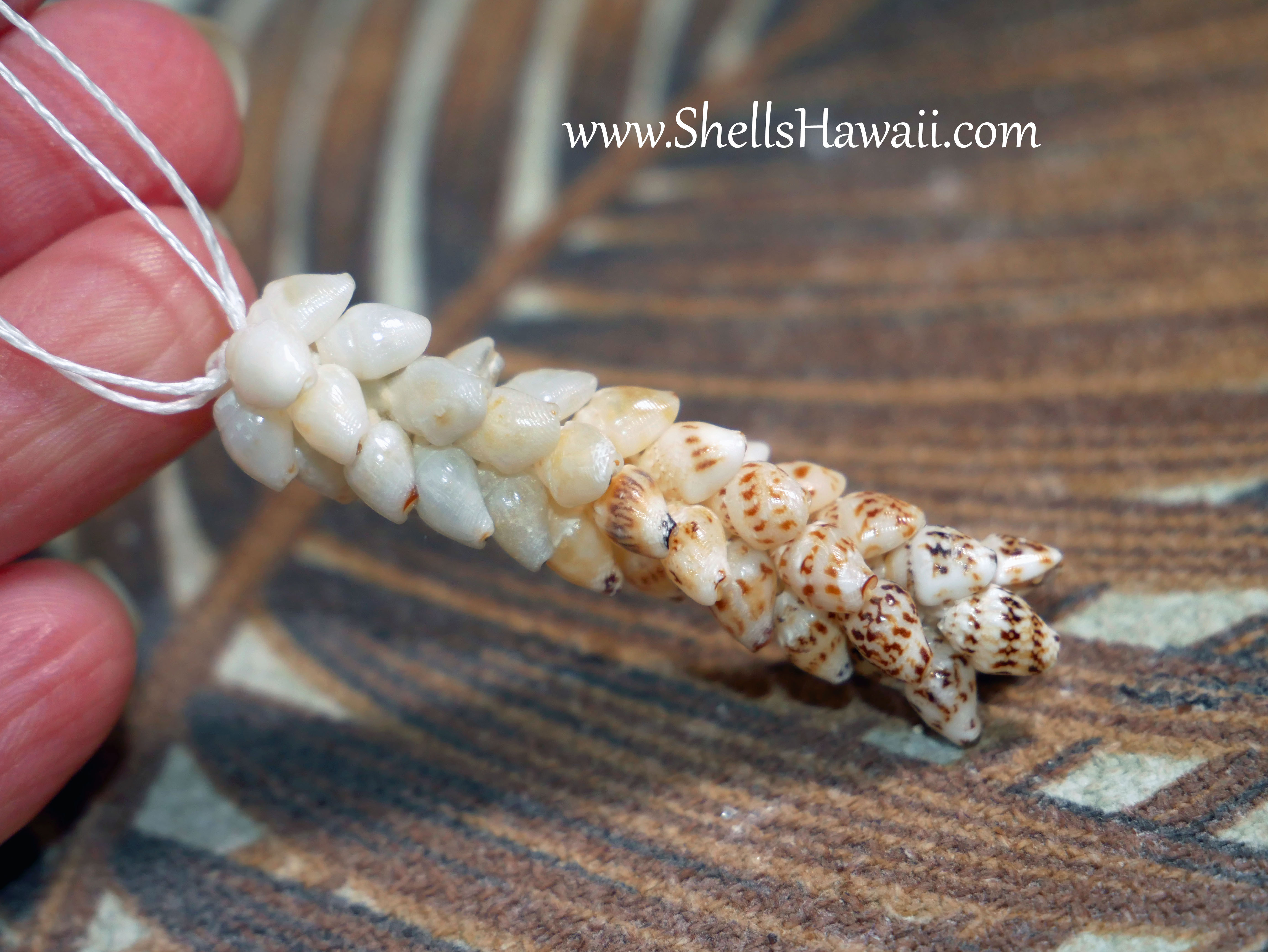 how to make double-double pikake earrings with Momi shells