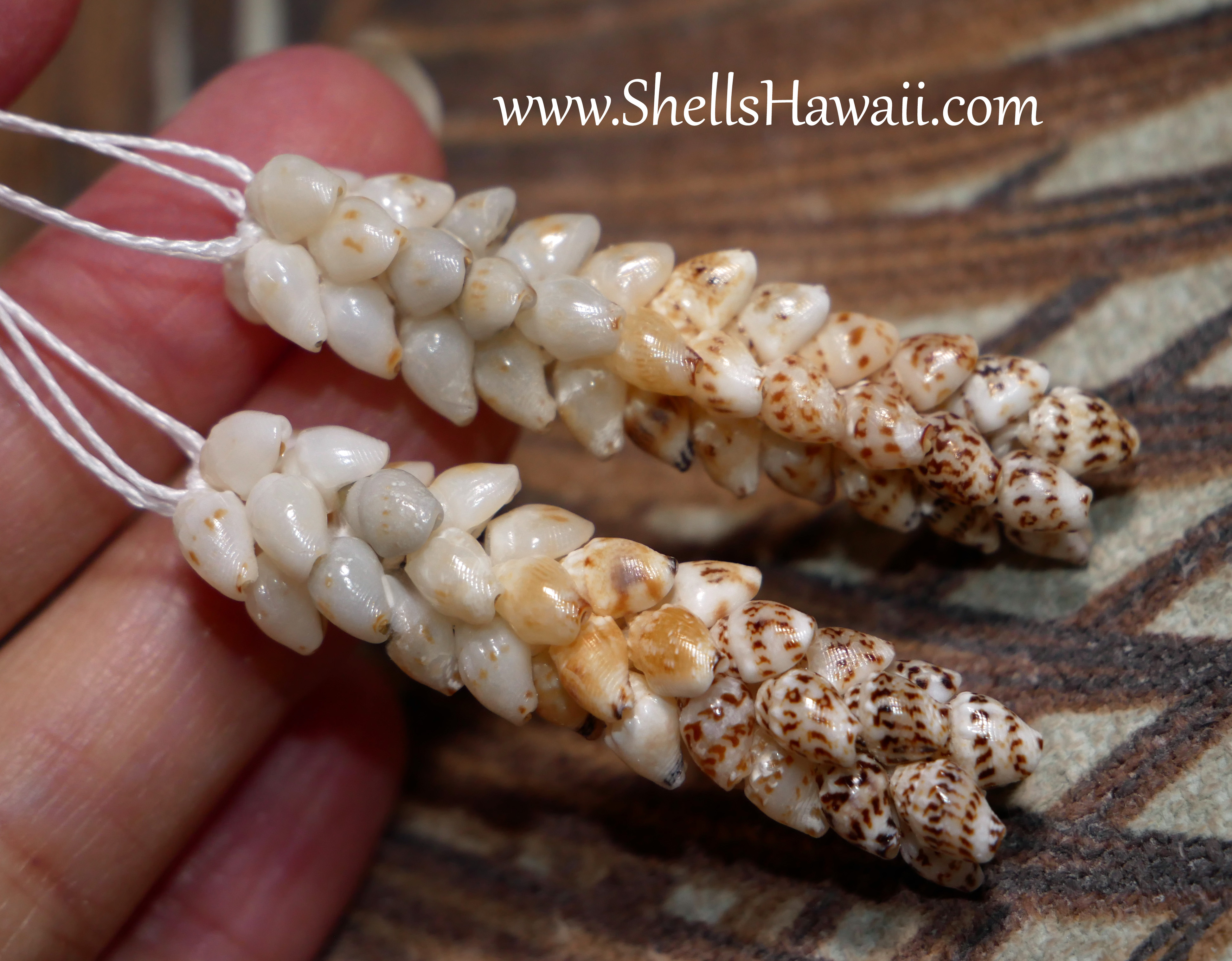 how to make double-double pikake earrings with momi shells