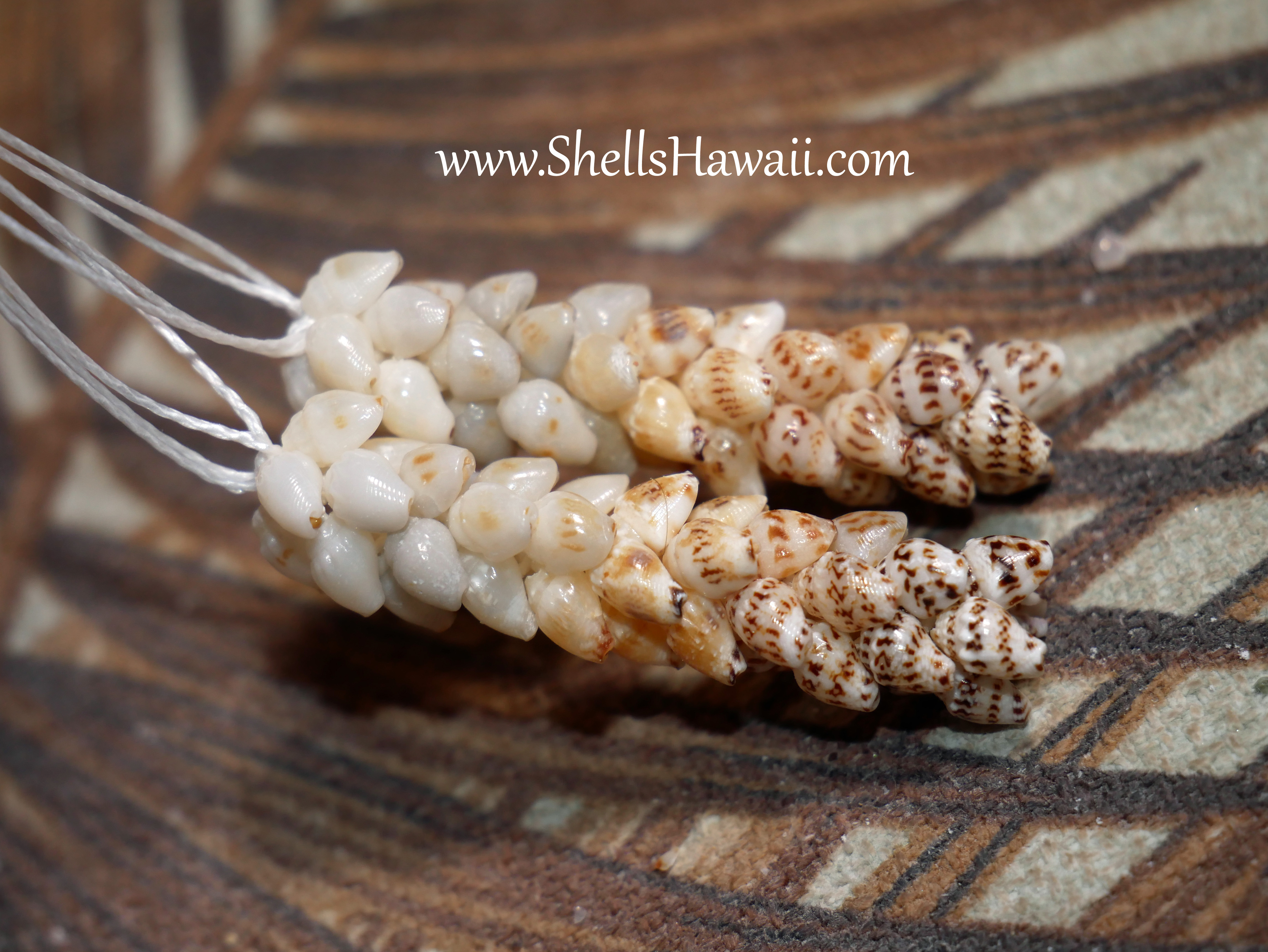 how to make pikake style earrings with momi shells, niihau shell earrings