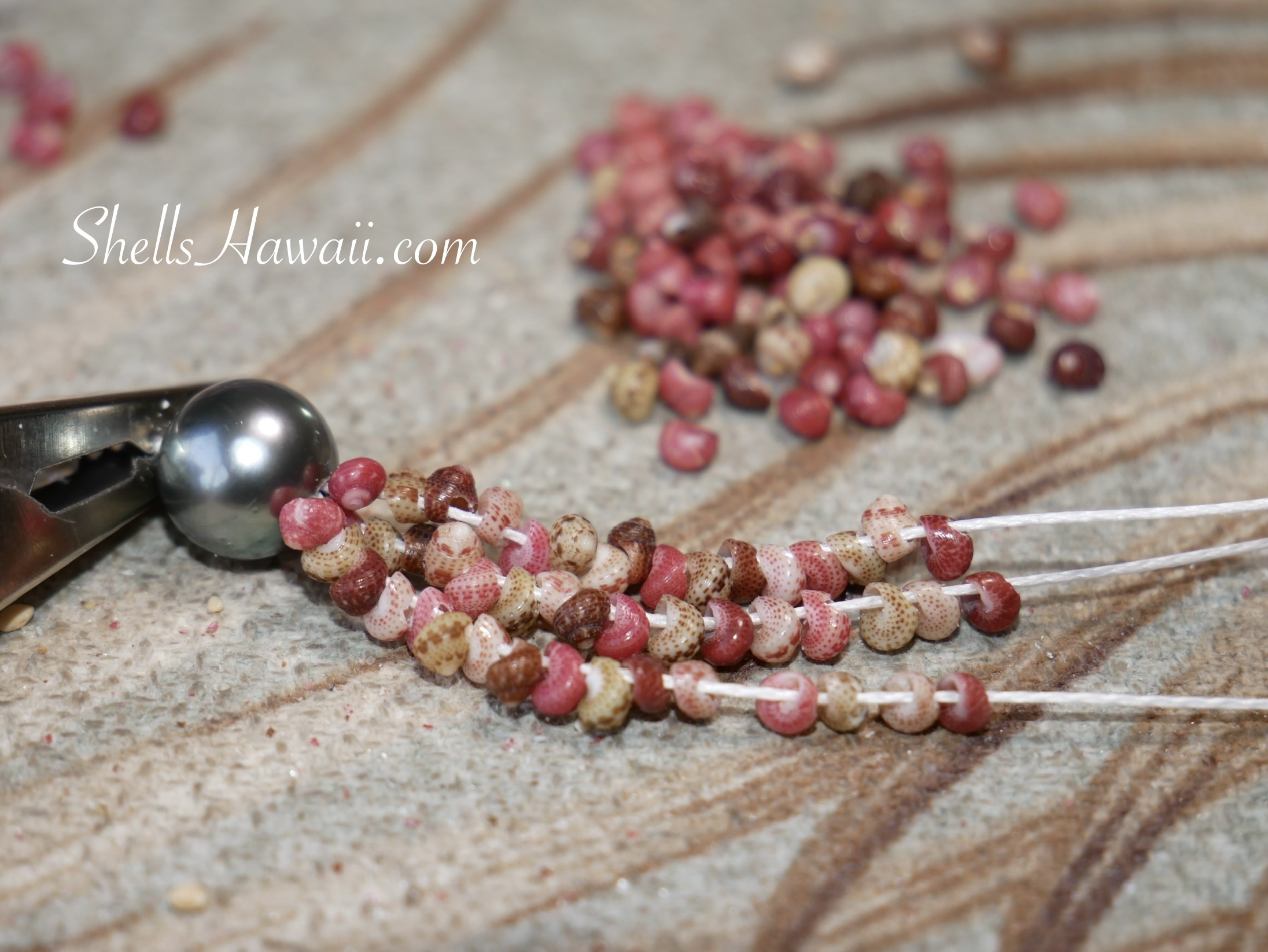 Niʻihau shell jewelry work in progress showing tiny Kahelelani shells carefully strung by hand, highlighting the size, detail, and patience required to create authentic Hawaiian shell jewelry.
