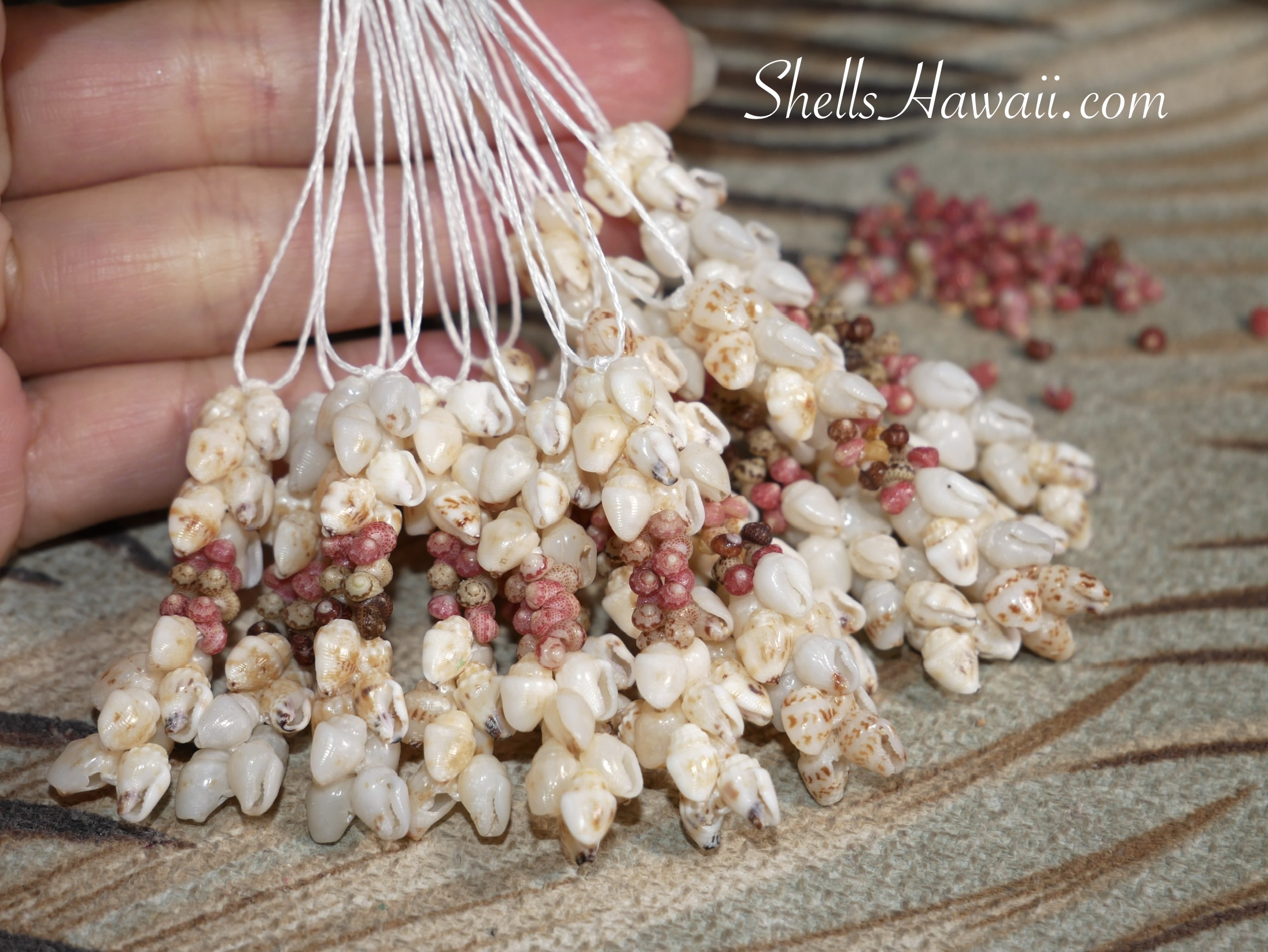 New Kipona and Pikake style Niʻihau shell earrings by Janjira, handcrafted with genuine Momi and Kahelelani shells, featuring tiny hand-poked Momi shells in soft pink and natural tones that reflect the labor-intensive process and artistry behind handmade Hawaiian shell jewelry at ShellsHawaii.com.