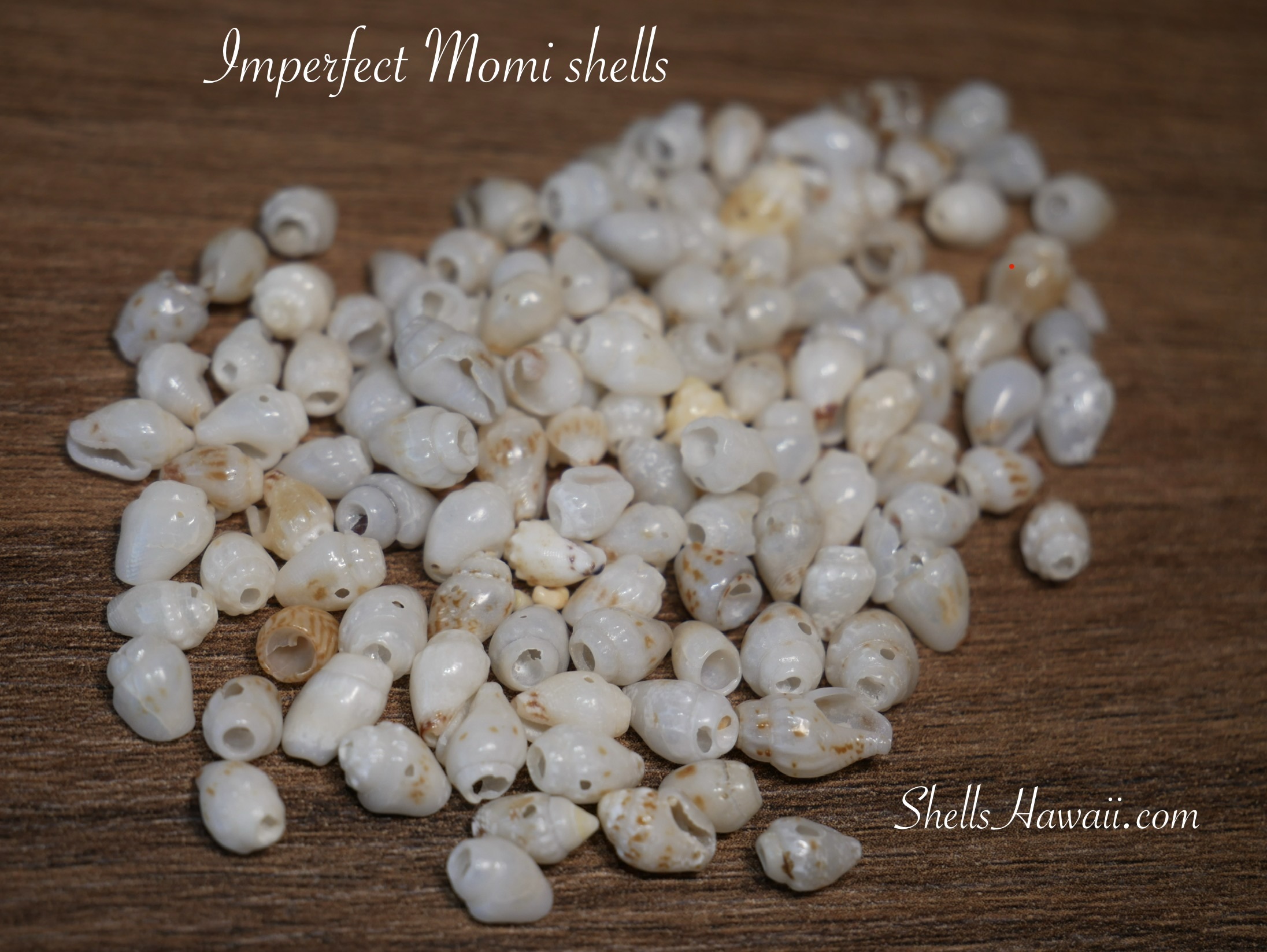 Imperfect Momi shells separated during sorting, showing small cracks, uneven openings, and natural surface flaws that make them unsuitable for fine jewelry.