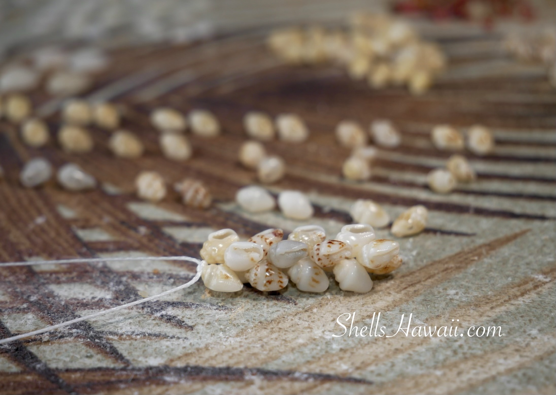 Close-up of Momi shells being carefully arranged during the Pikake earring design process, showing color balance, shell patterns, and the quiet attention learned through sorting Niʻihau shells before