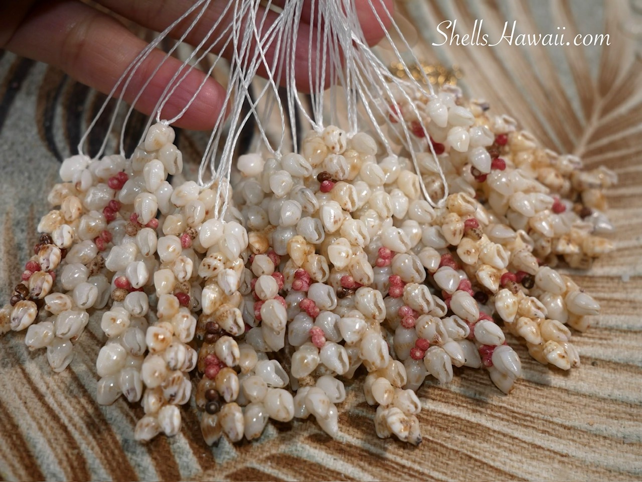 Close-up of Niʻihau Kipona style earrings in progress, showing off-white Momi shells with natural brown markings and pink Kahelelani shell accents carefully strung together during the Hawaiian shell jewelry making process