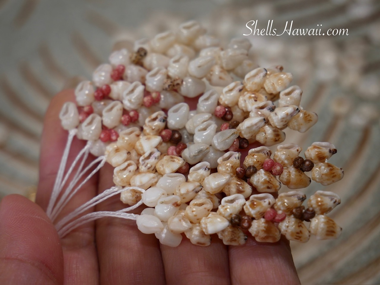 Niʻihau Kipona style earrings in progress with off-white Momi shells and pink Kahelelani shell accents, handmade Hawaiian shell jewelry design process