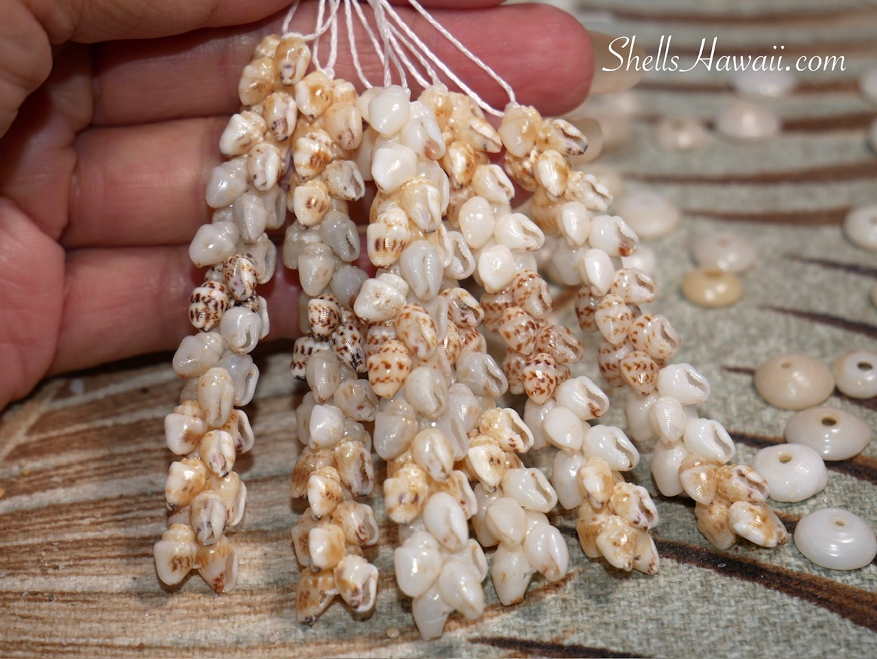Niʻihau Pikake style earrings being strung with natural Momi shells, traditional Hawaiian shell jewelry craftsmanship in progress