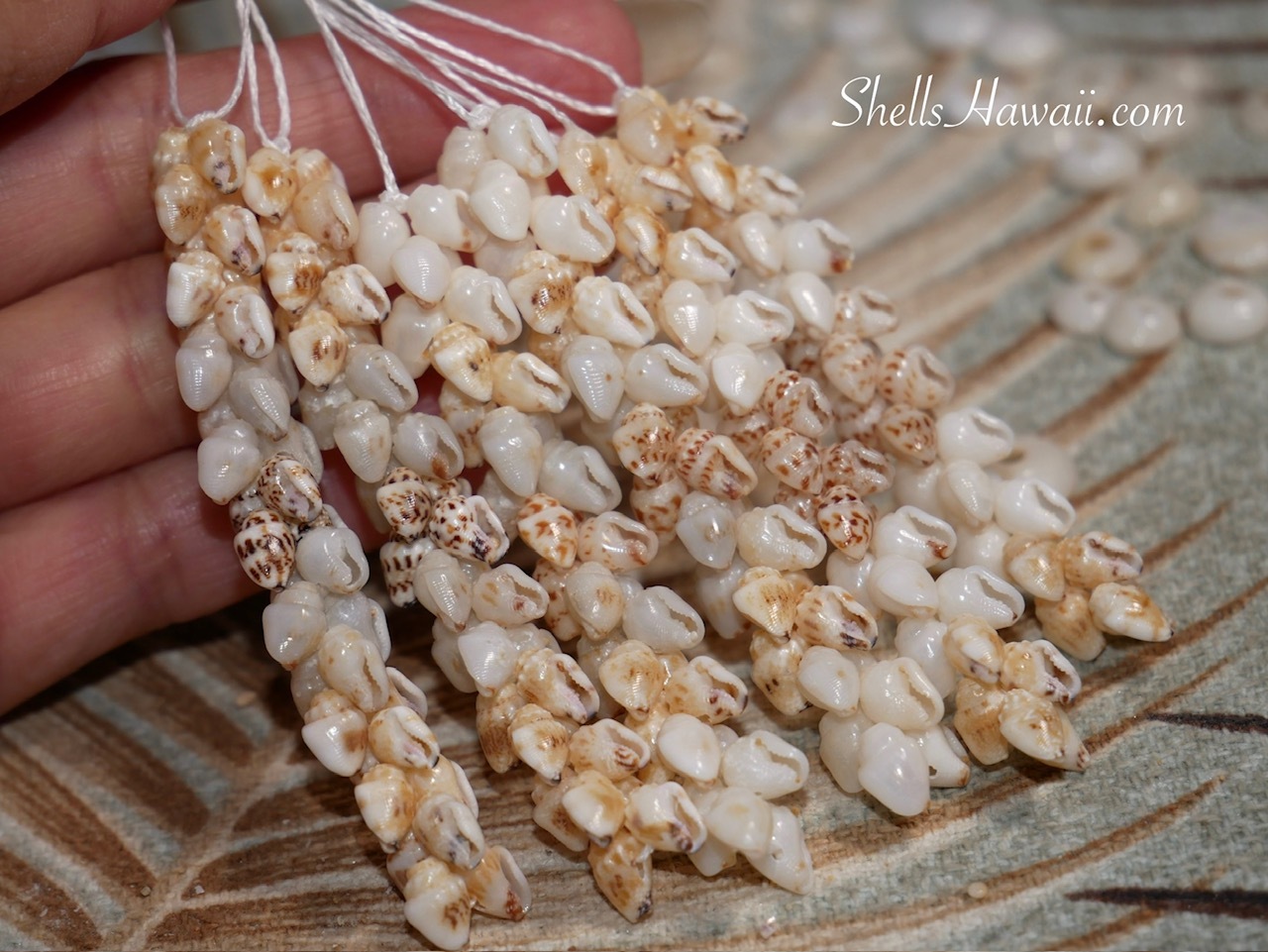 Niʻihau Momi shells being strung together in progress for Pikake style Niʻihau shell earrings, showing paired shells threaded carefully to create balanced Hawaiian shell jewelry (ニイハウシェルジュエリー)