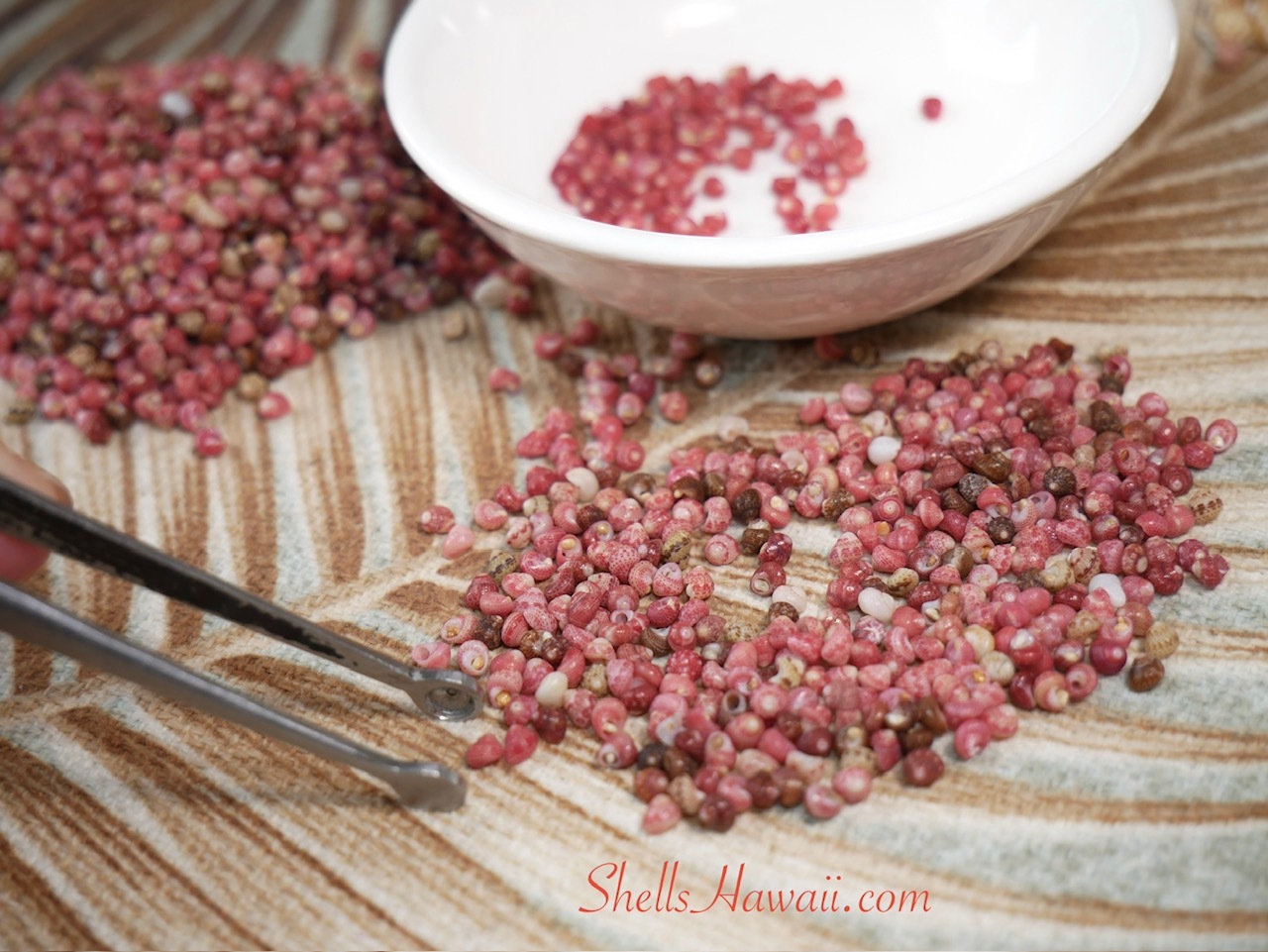 Sorting Kahelelani shells by color for Niʻihau shell jewelry, selecting pink flower and red tones for custom Kipona style earrings at the work table