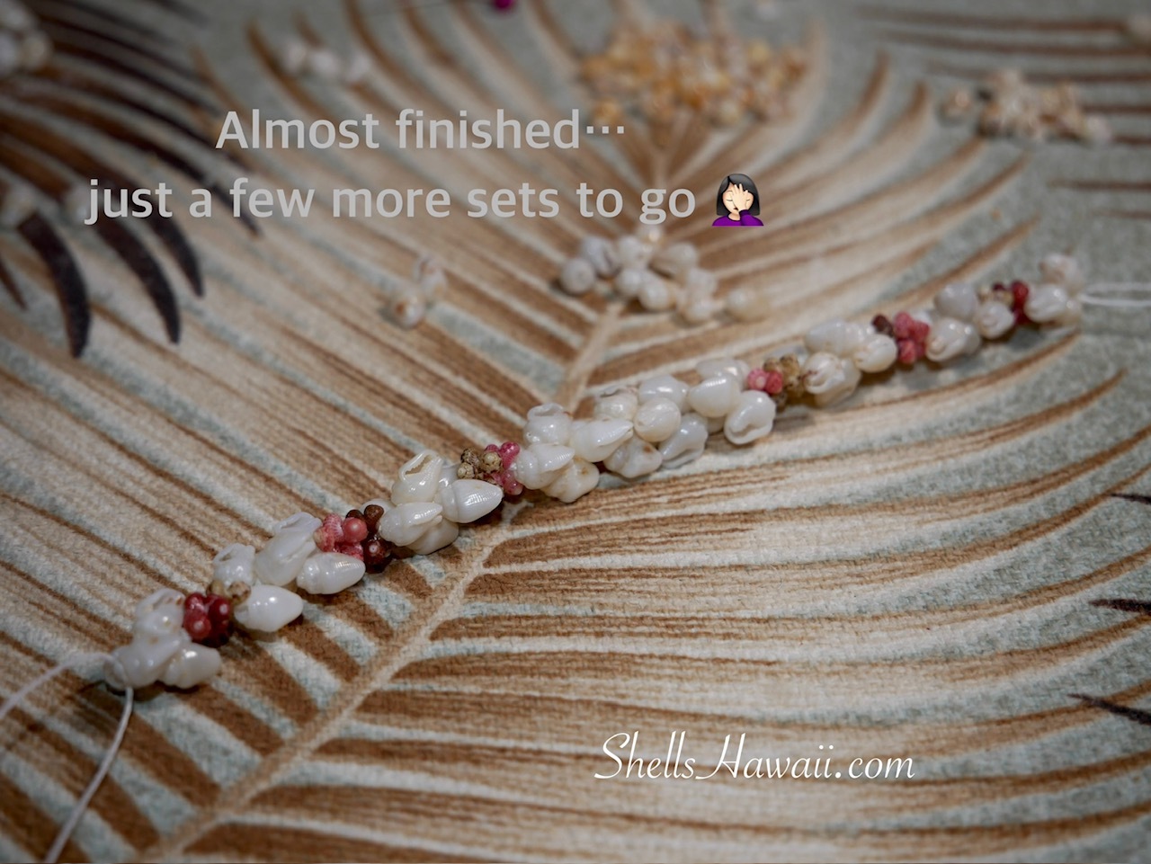 Niʻihau Kipona shell bracelet in progress with Momi and Kahelelani shells, nearly finished with a few sets remaining