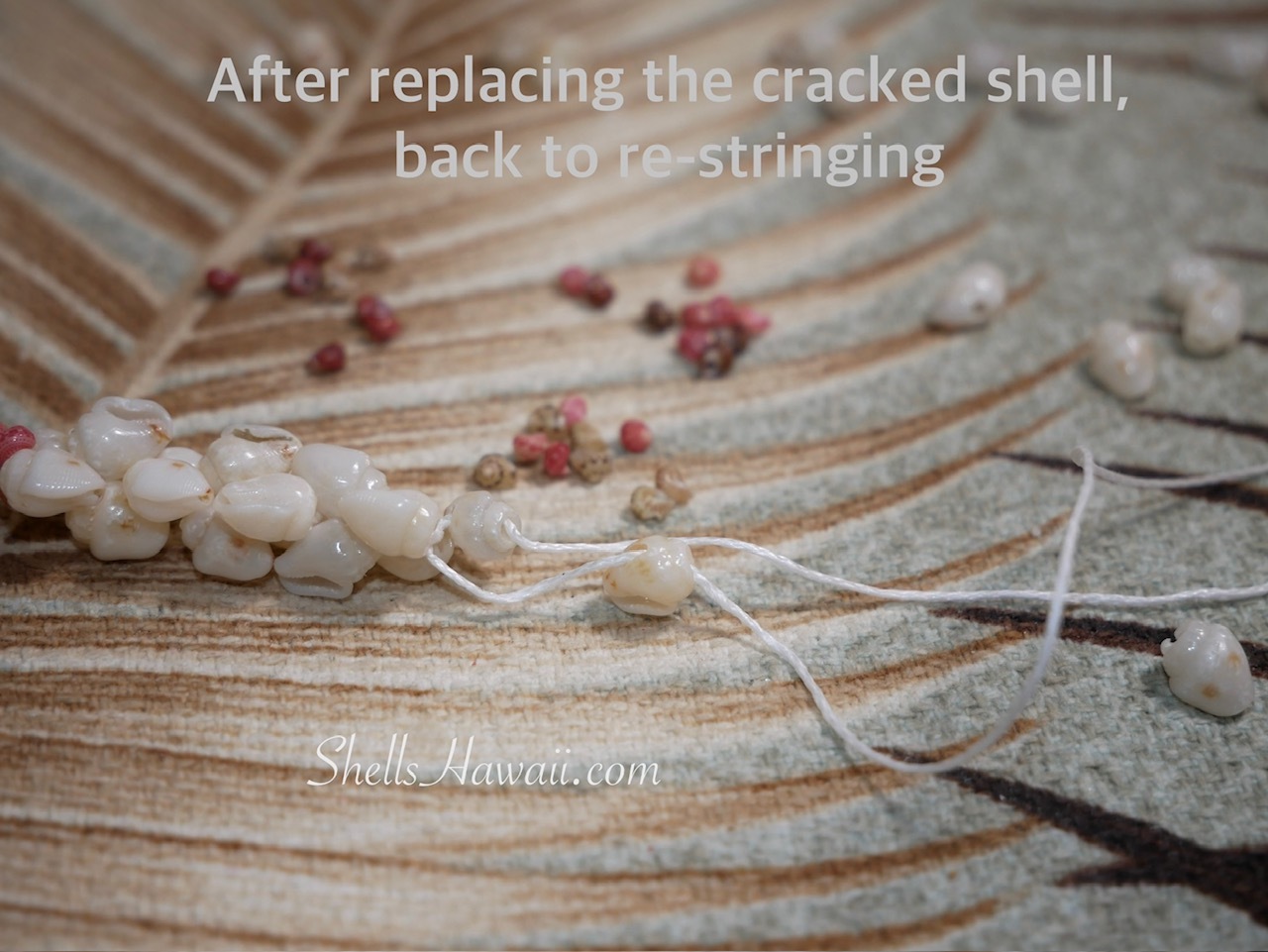 Niʻihau shell bracelet re-stringing after replacing cracked Momi shell, showing crooked string making shells harder to thread