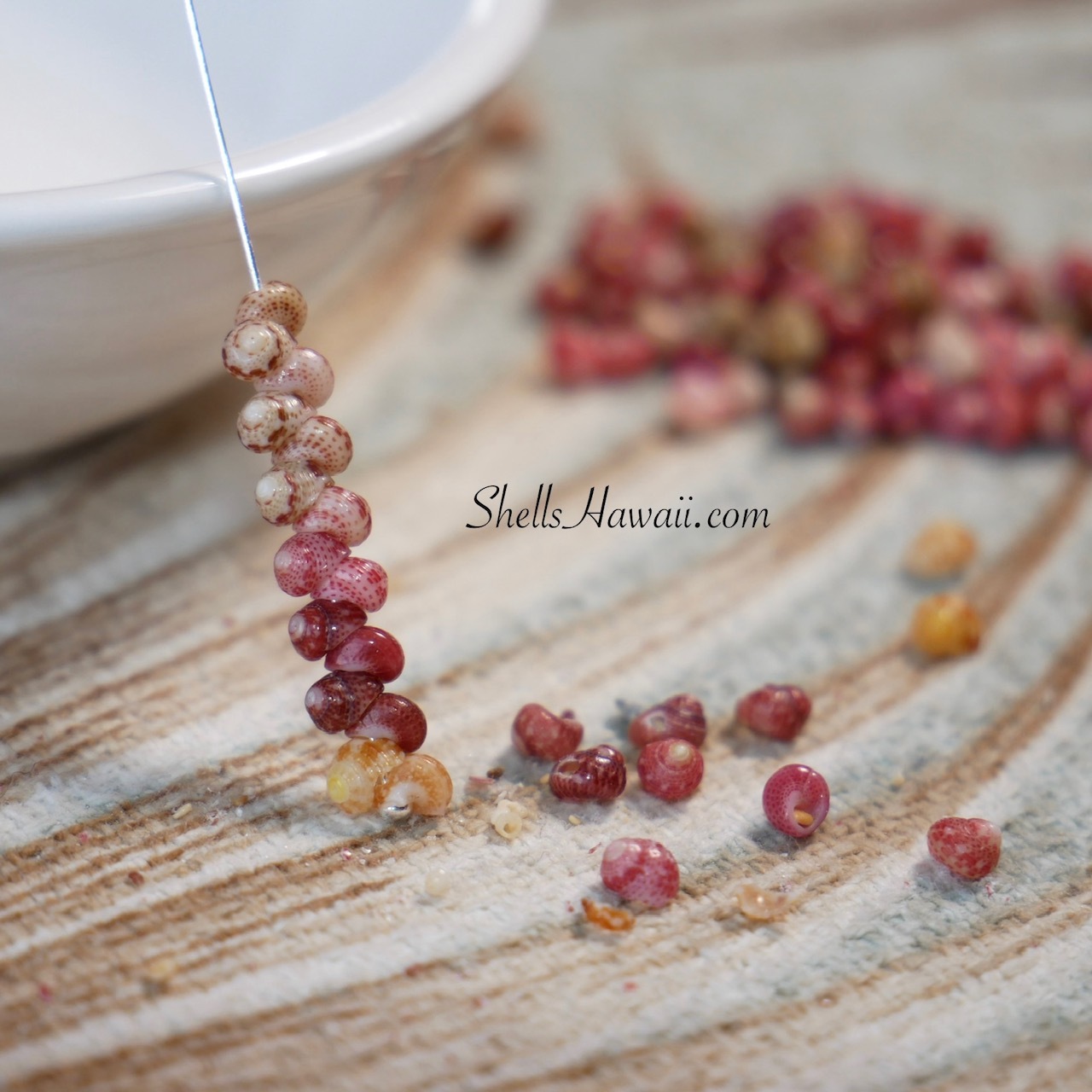 Close-up of Niʻihau Kahelelani shells on a head pin, showing detailed shell quality, natural pink color variations, and fine hand-poked workmanship before wrapping into modern dainty minimalist Hawaiian shell earrings