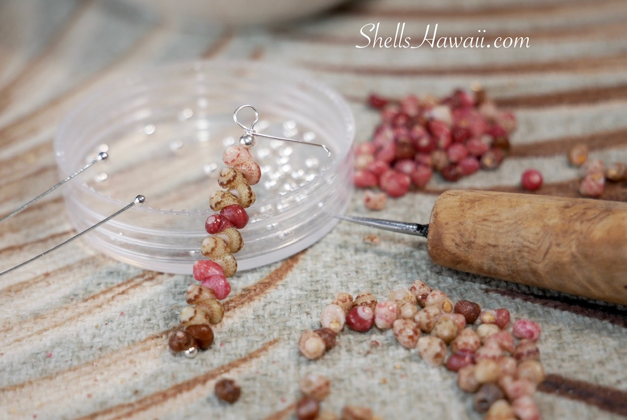 Sterling silver head pin used to create minimalist Niʻihau shell earrings with Kahelelani shells, shown alongside shell beads and a traditional poking tool used in Hawaiian shell jewelry making, capturing a closer look at the delicate process.