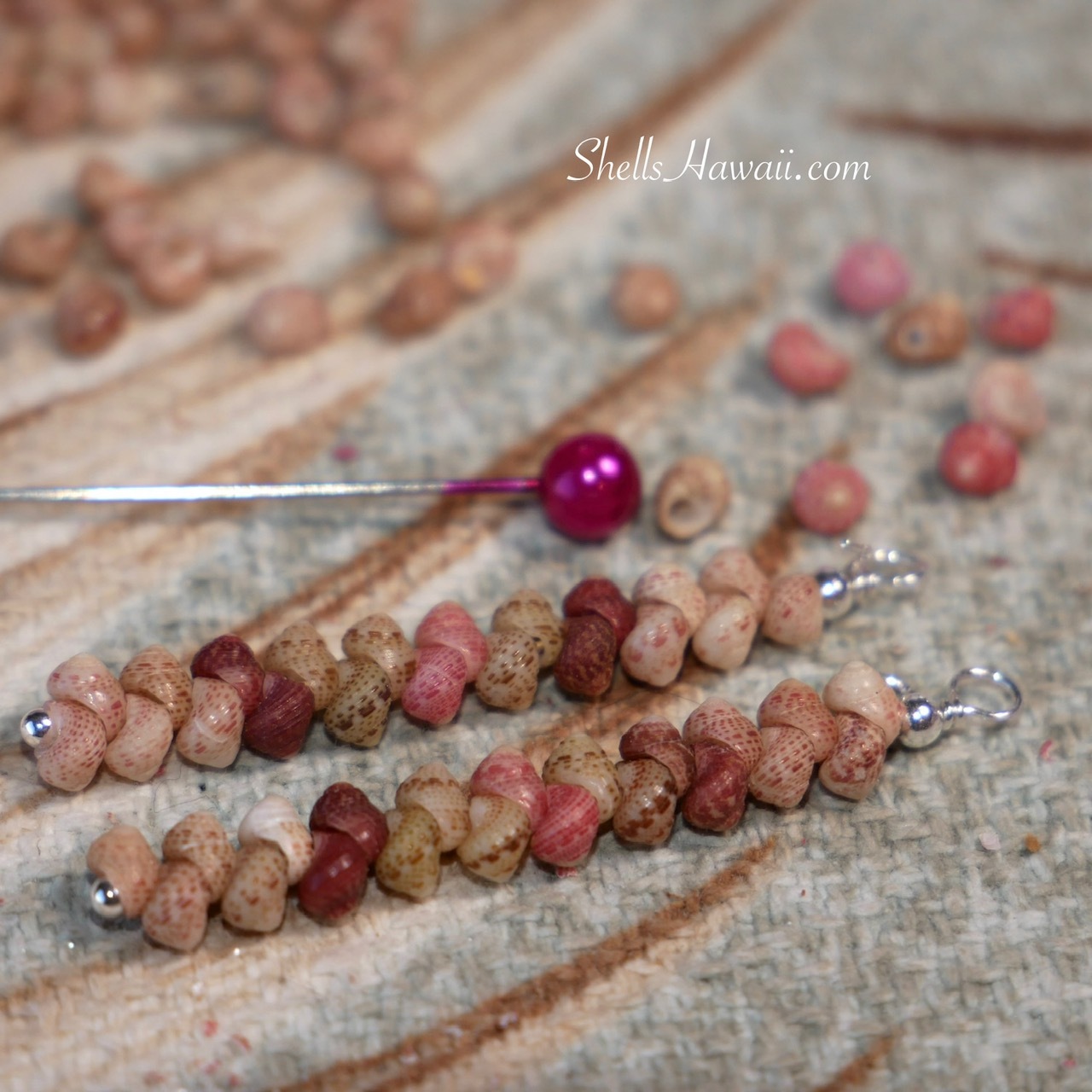 Kahelelani shells from Kauaʻi after sterling silver wire wrapping, showing their natural pink, green, burgundy, and brown tones in minimalist earrings, with a head pin for size comparison.