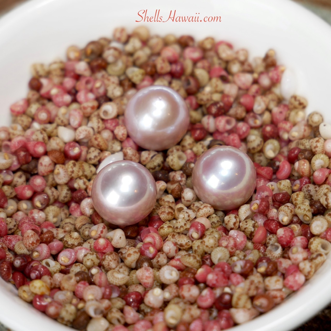 Pink Edison freshwater pearls with beautiful luster displayed alongside genuine Kahelelani shells.
