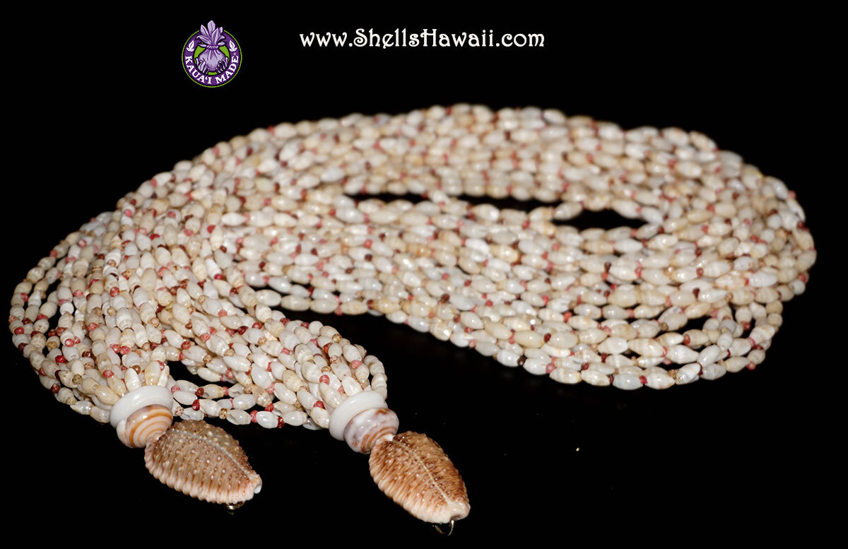 Niʻihau shell lei featuring Laiki and Kahelelani shells, finished with matching mature dark brown granulated cowrie shell clasps.