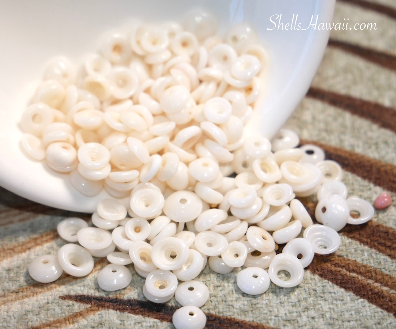 A collection of small genuine Hawaiian Puka shells from Niʻihau in natural white shades, cleaned and hand-drilled, displayed after preparation for jewelry making.