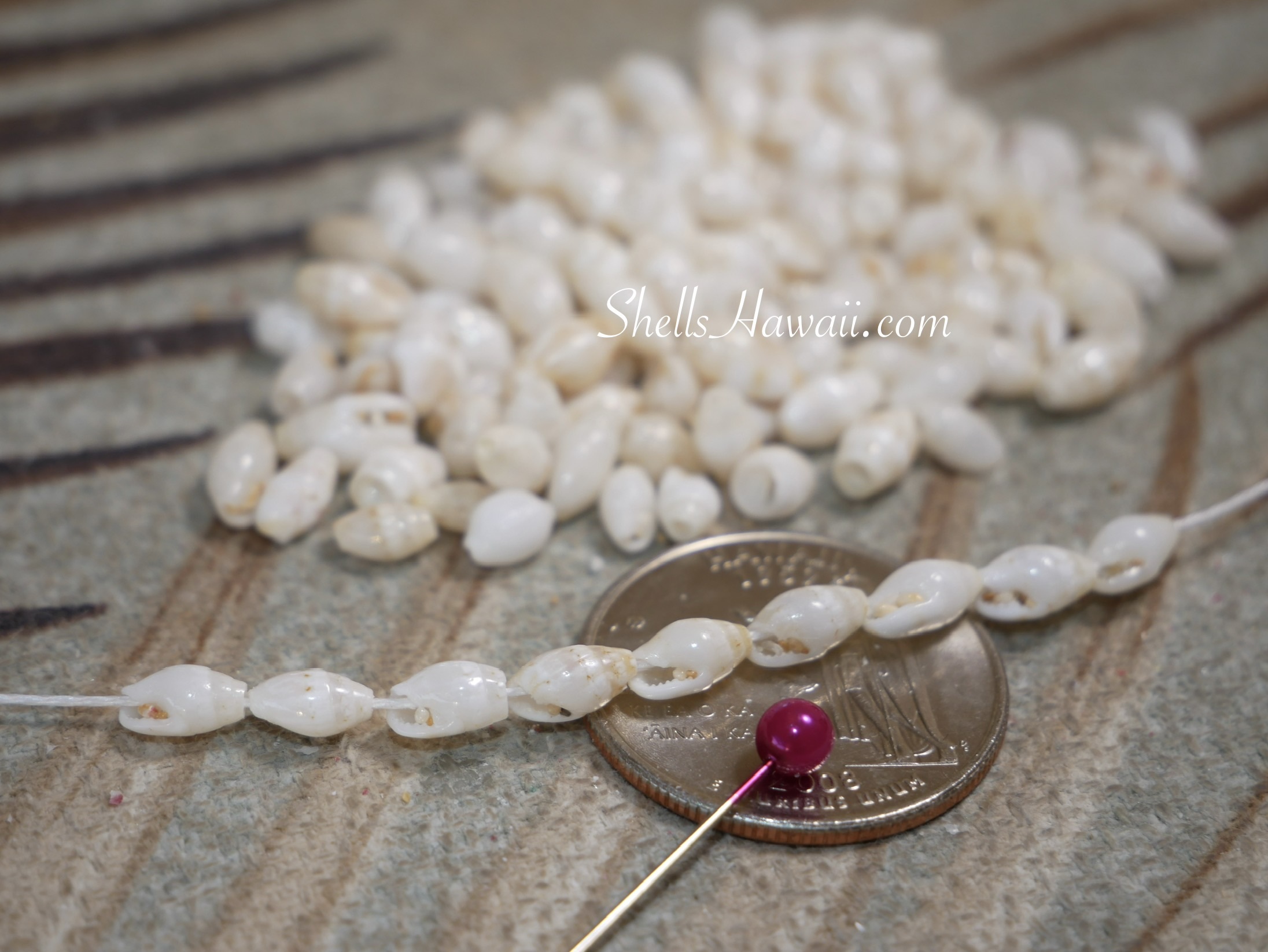 Close-up of finished Niʻihau Laiki shell jewelry showing sand still visible inside the waha, illustrating how uncleaned shells appear once they are strung together.