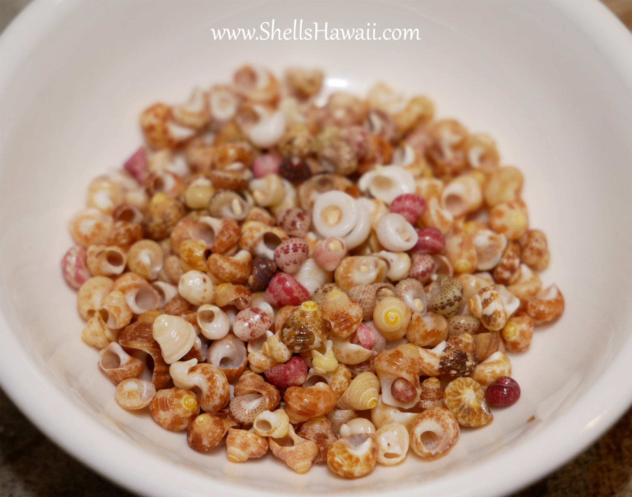 yellow kamoa large size 